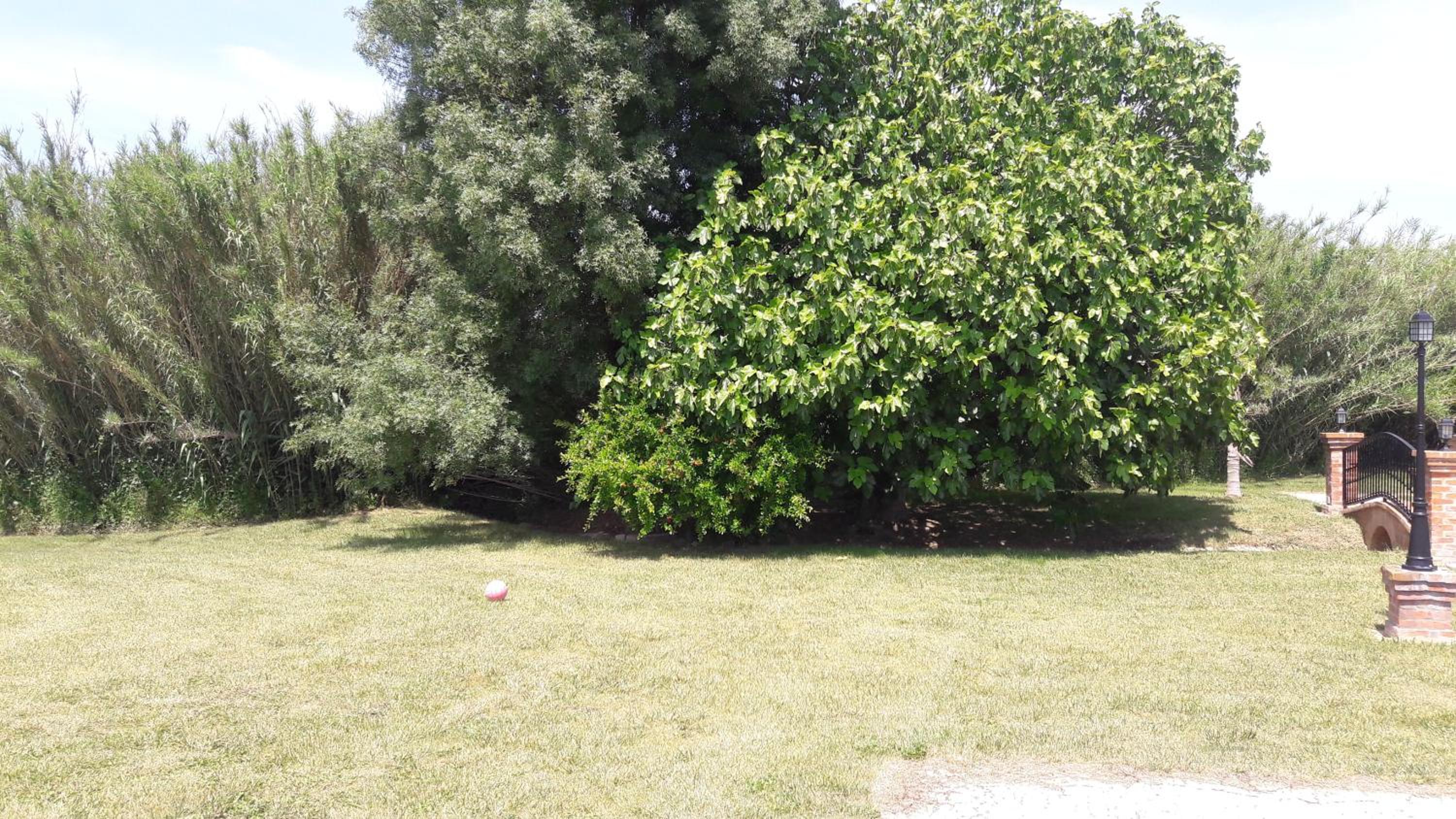 Quinta da Abrunheira
