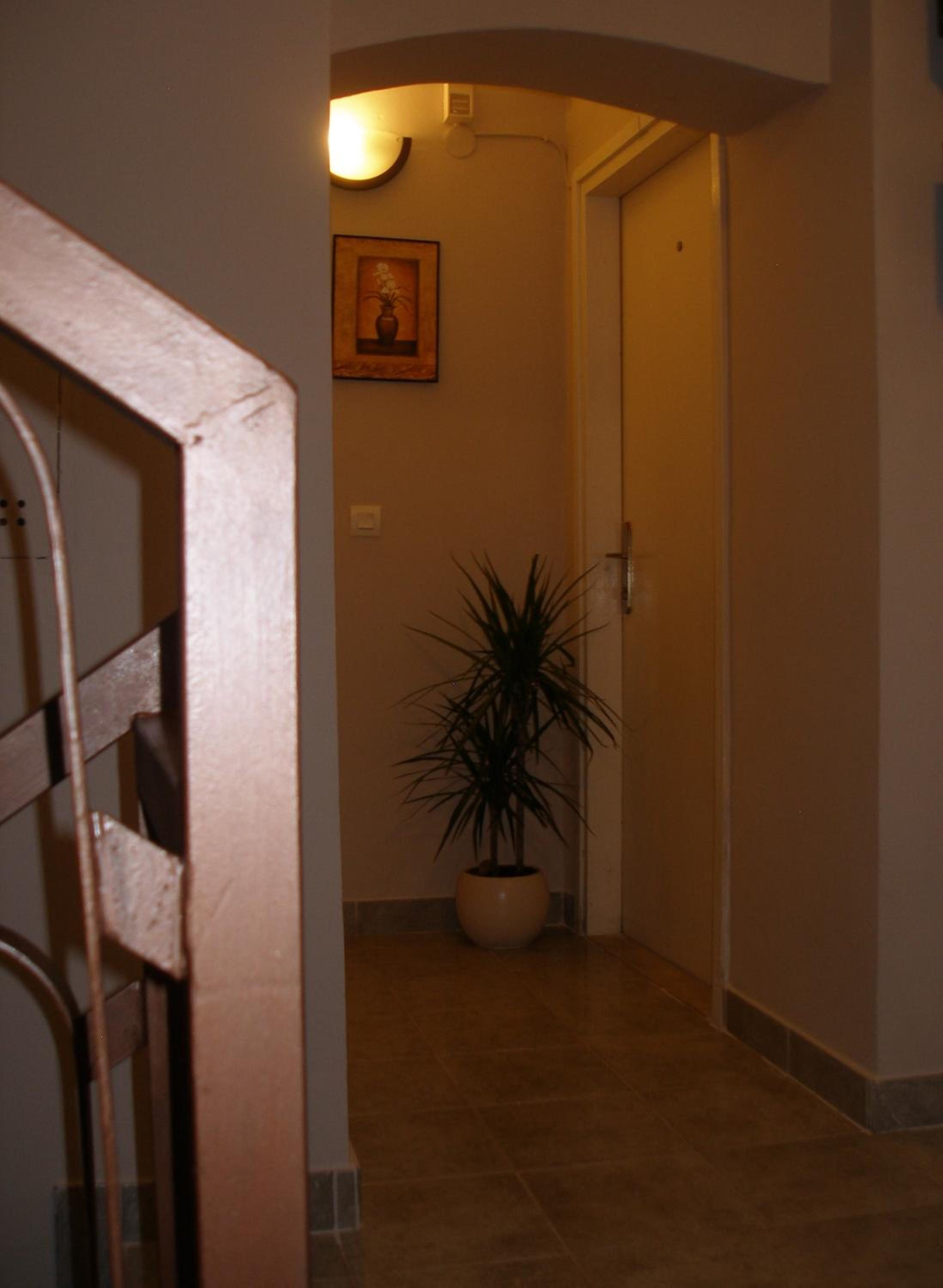 Carol Rooms