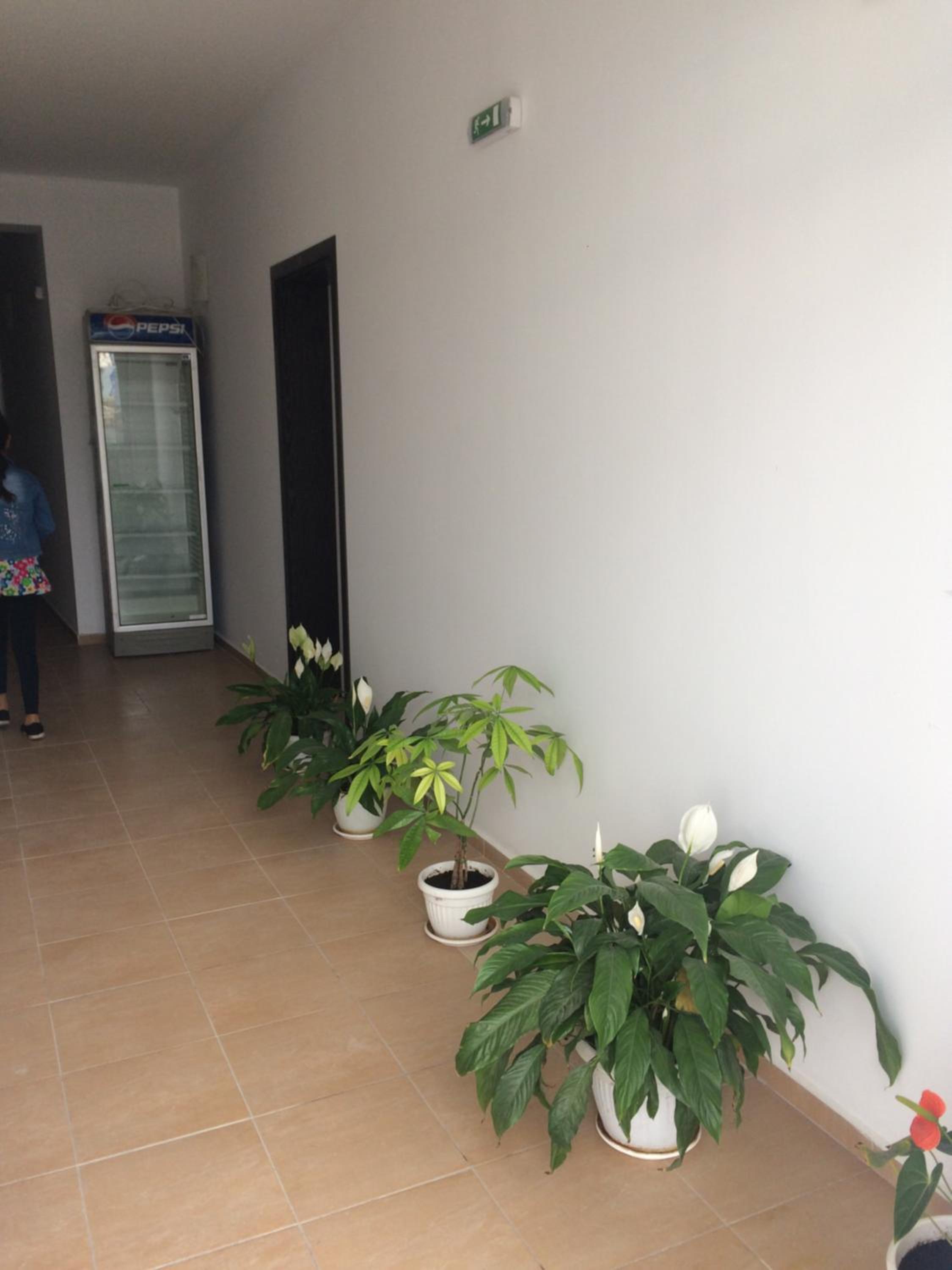 Guest House Kolev 2