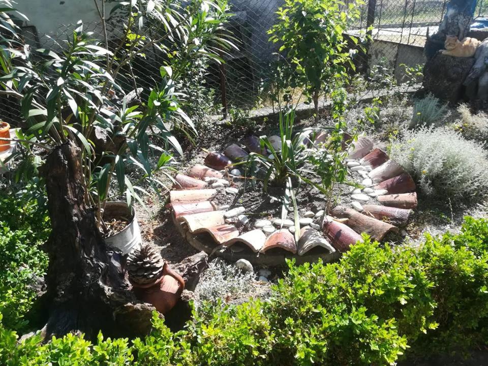 Guest House Kami