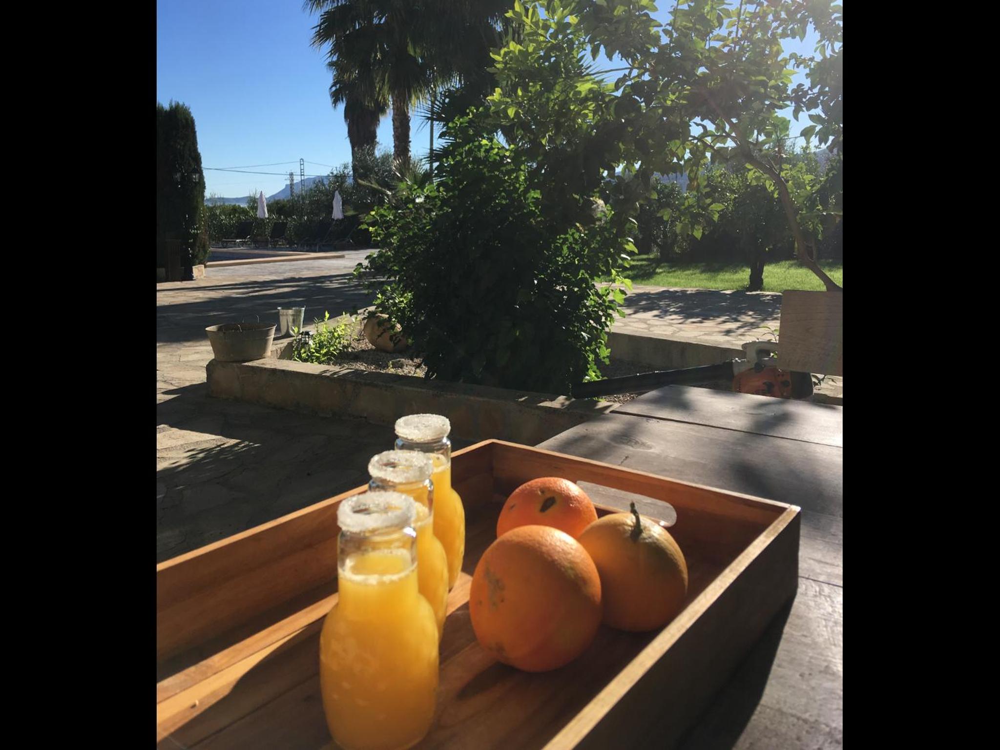 Photo 102