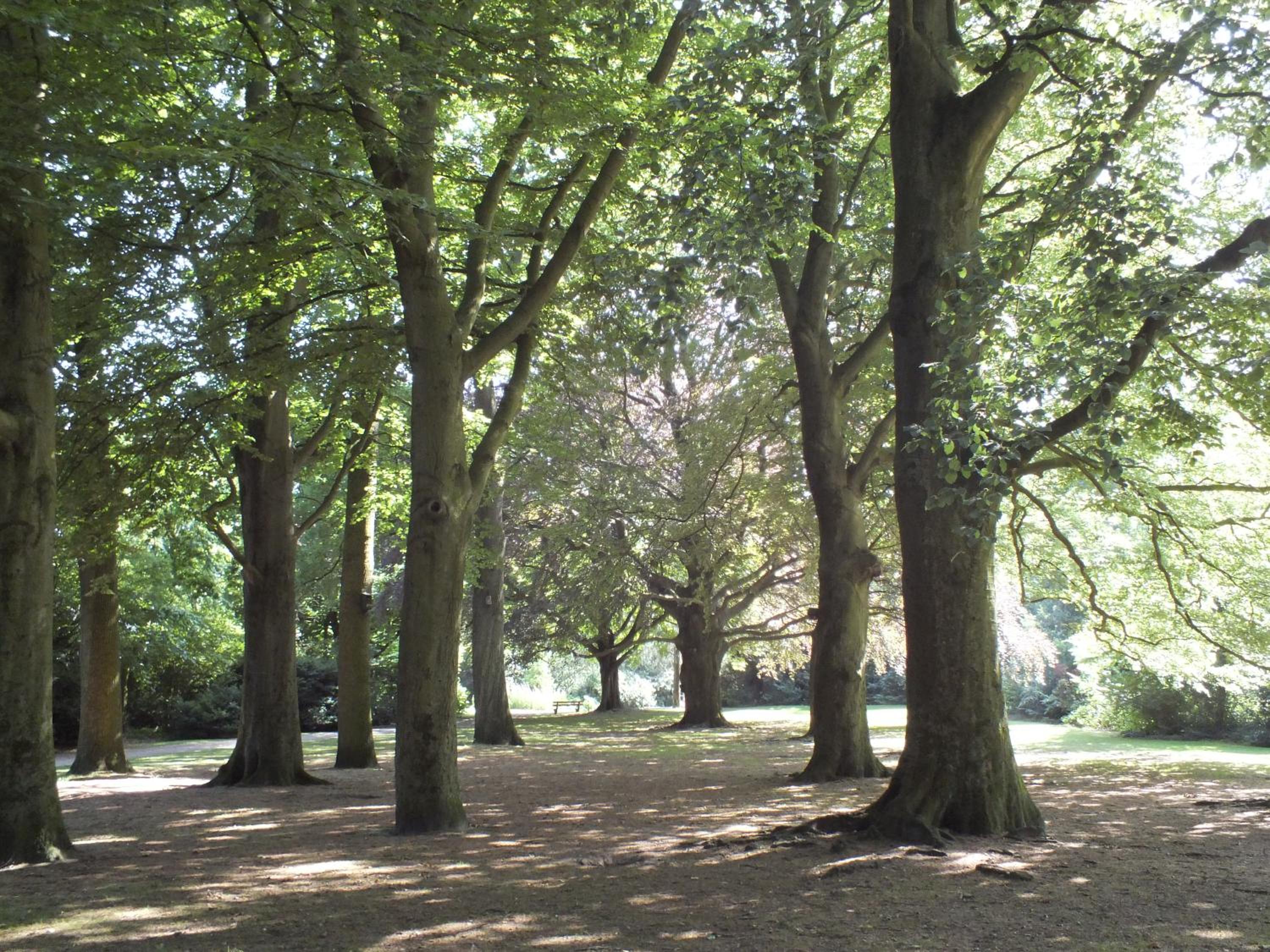 Photo 45