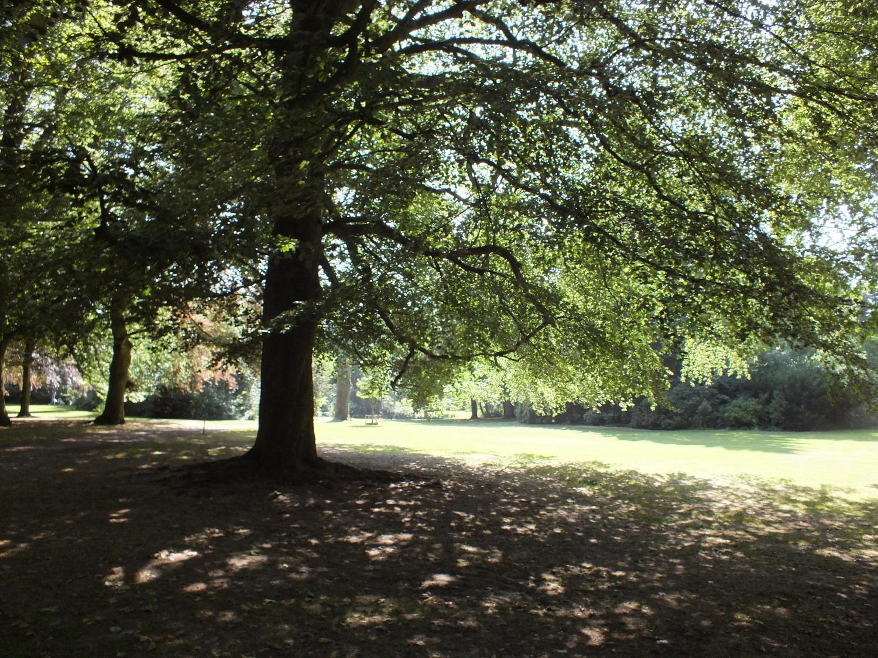 Photo 43
