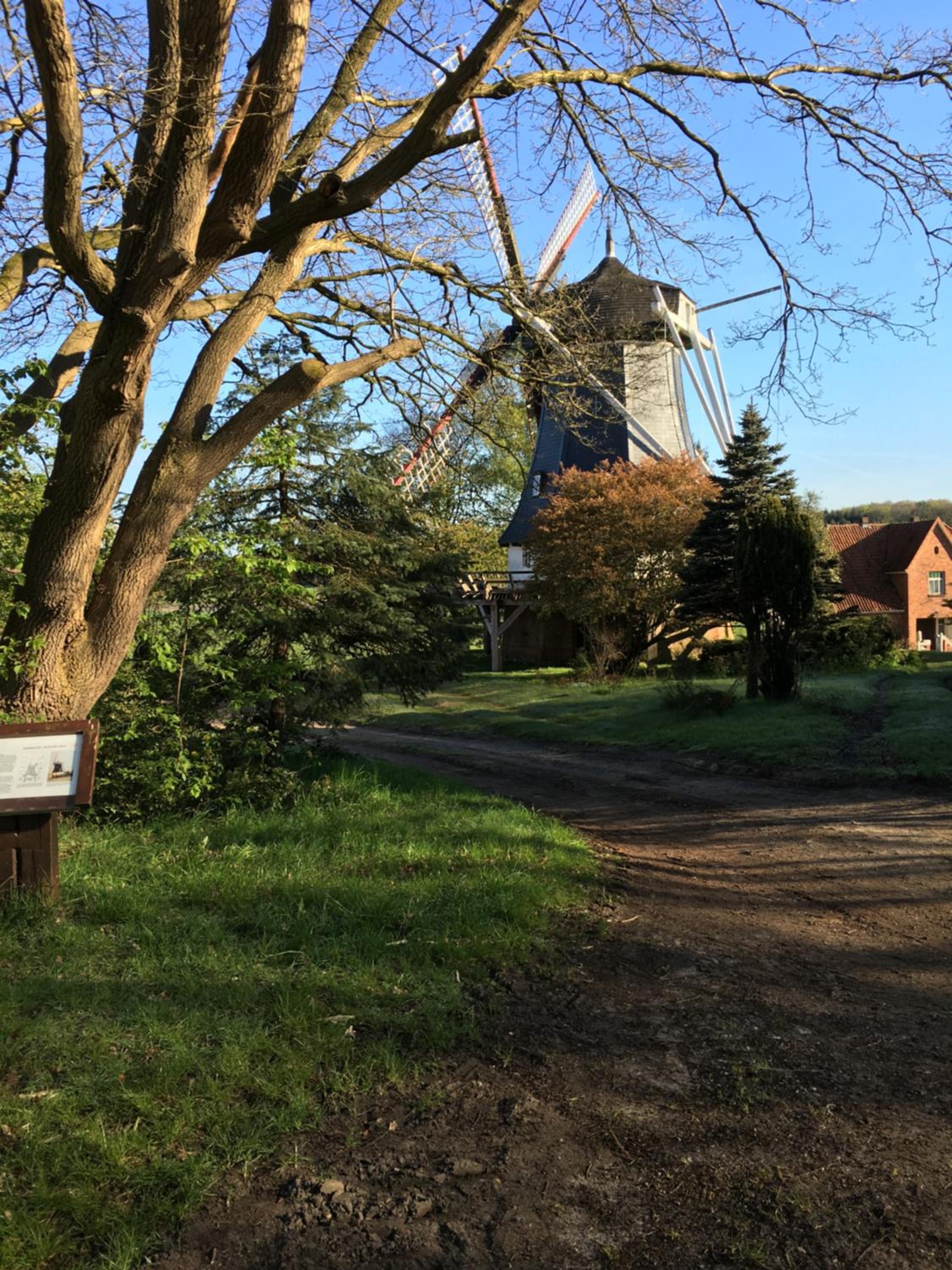 Photo 43