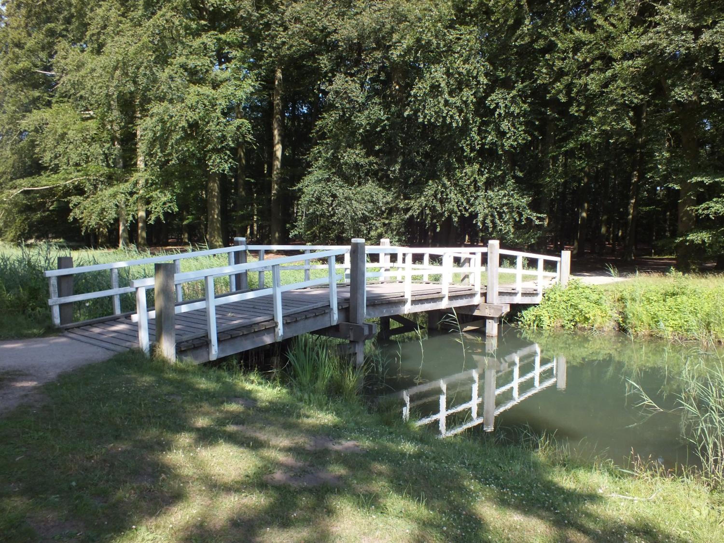 Photo 46
