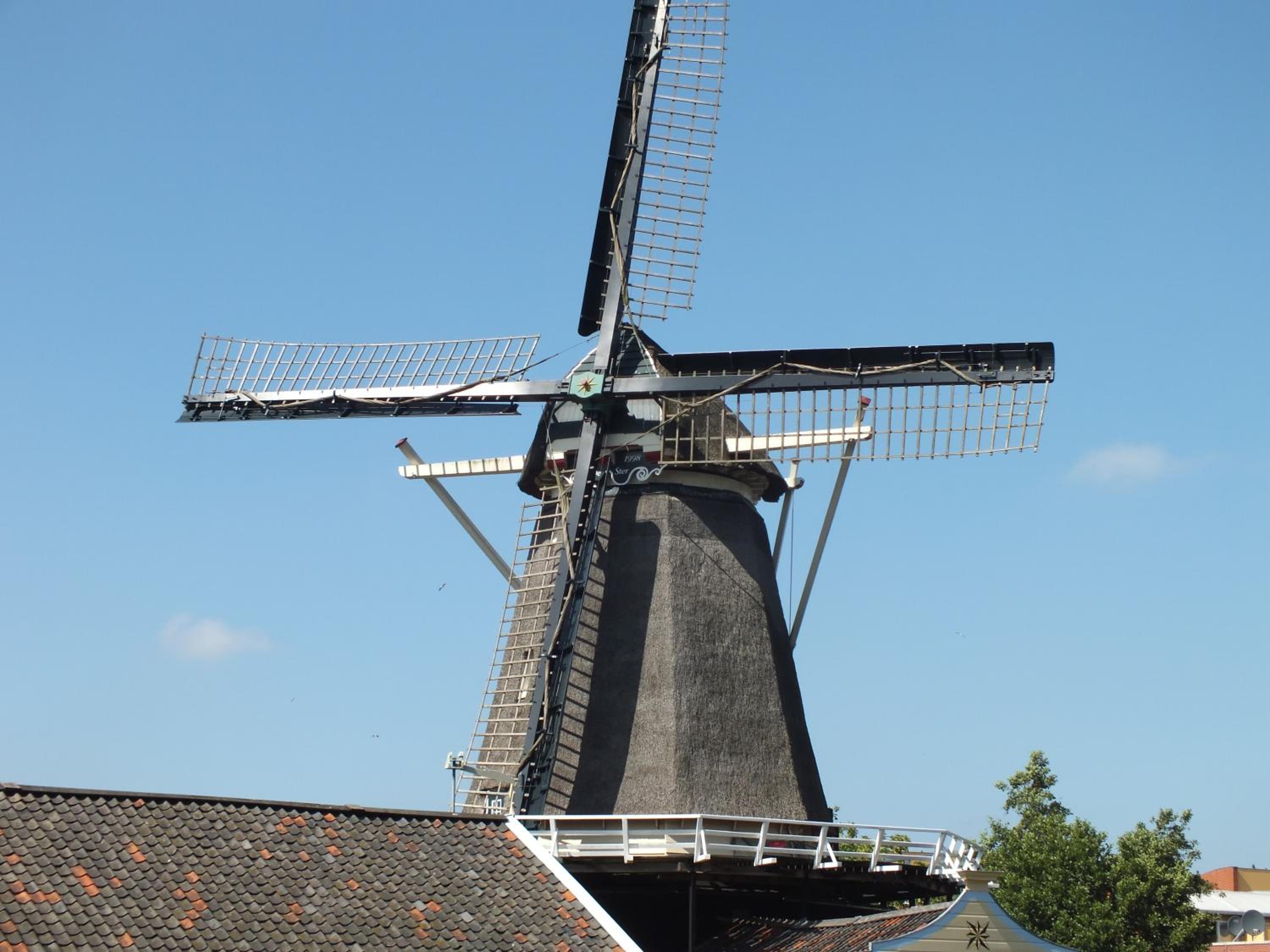 Photo 44
