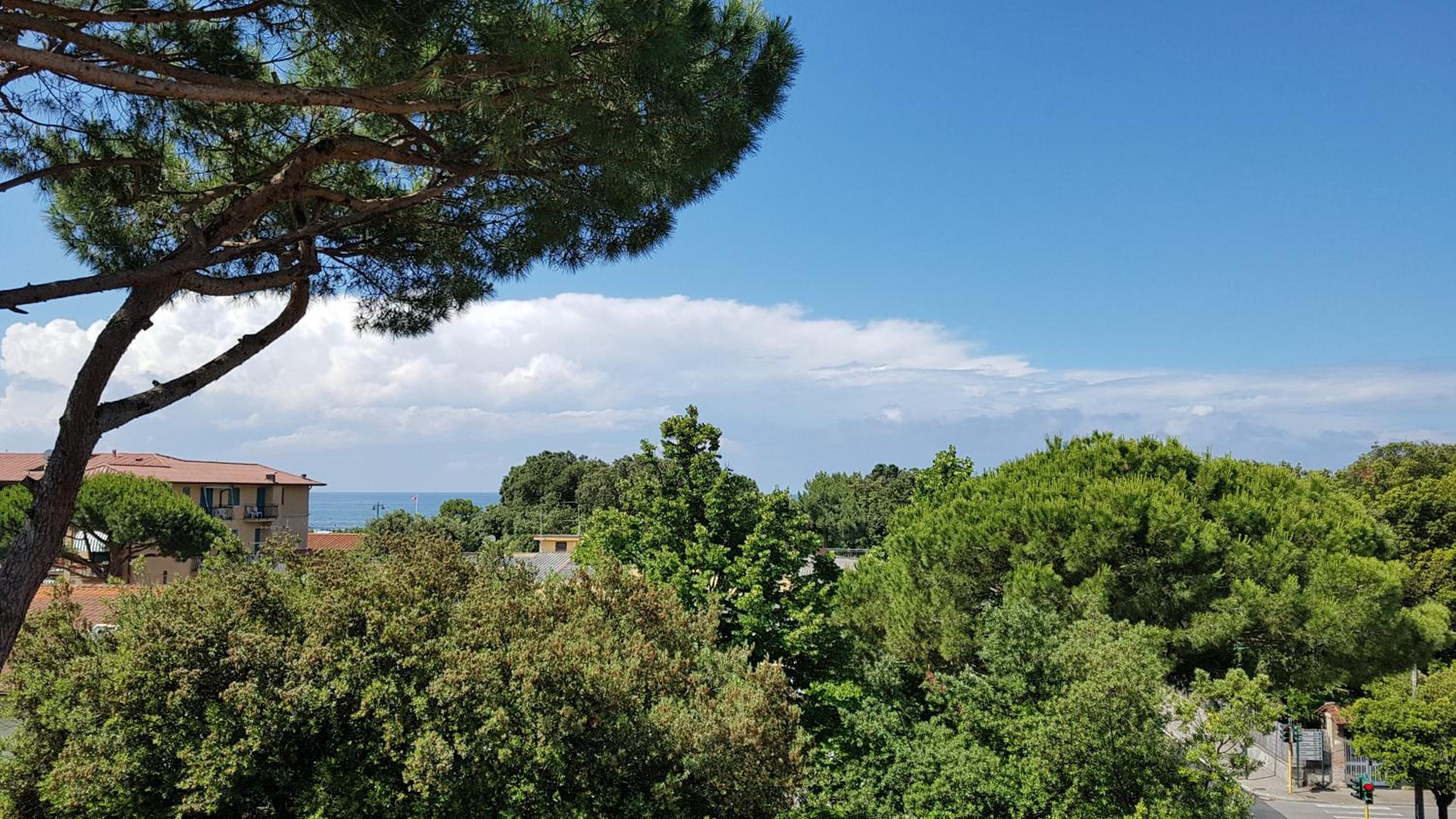 Hotel La Primula, photo 35