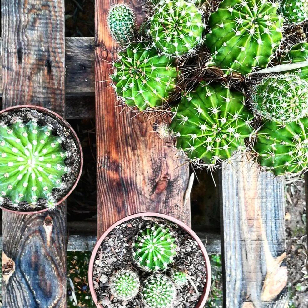 Casa do Fundo - Sustainable & Ecotourism