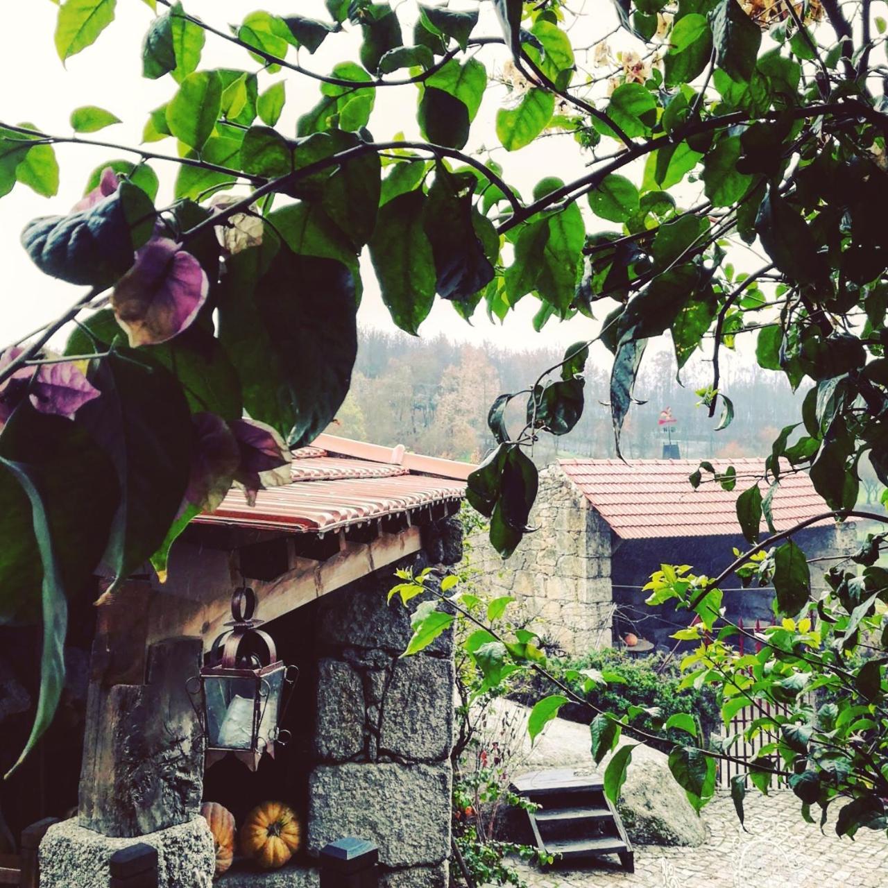 Casa do Fundo - Sustainable & Ecotourism