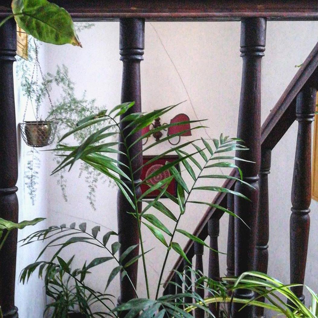 Casa do Fundo - Sustainable & Ecotourism
