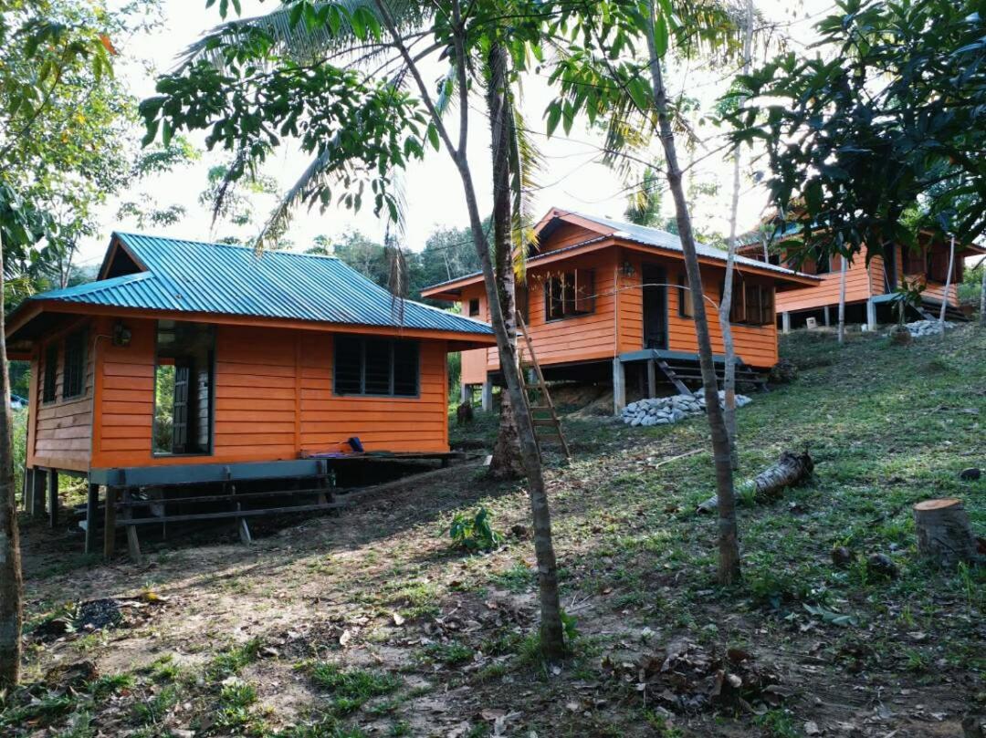 Long Titi Homestay photo 8