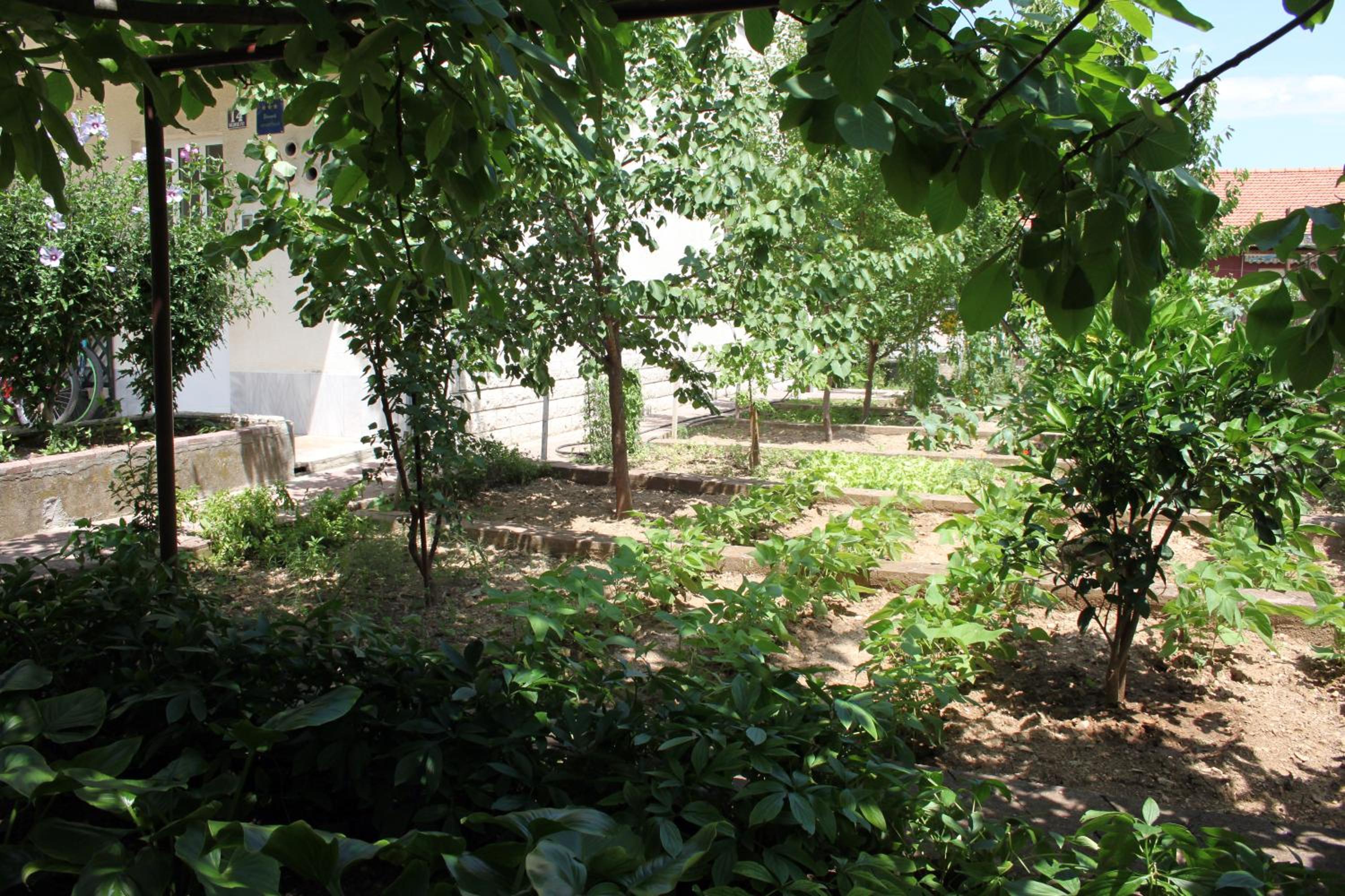 Photo 28