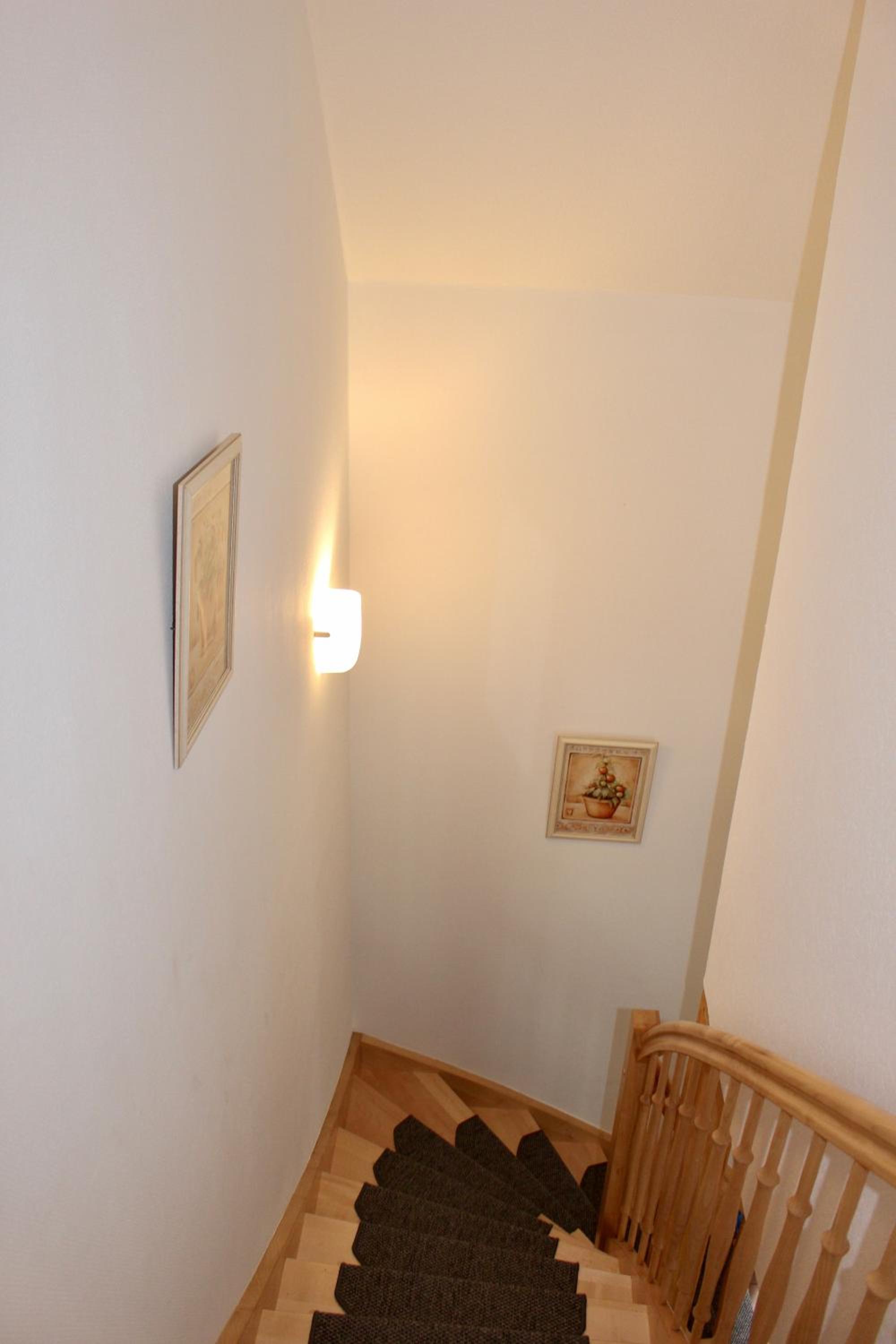 Photo 51