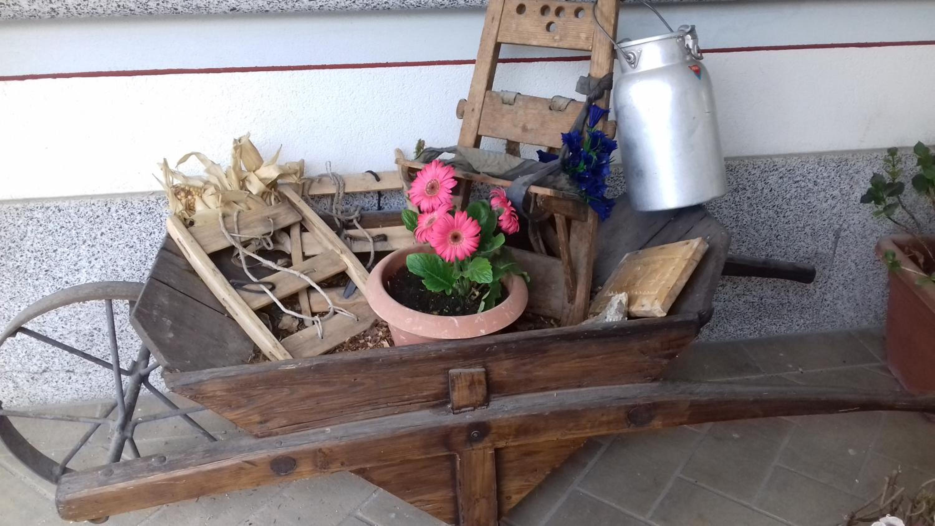 B&B Nido Delle Aquile
