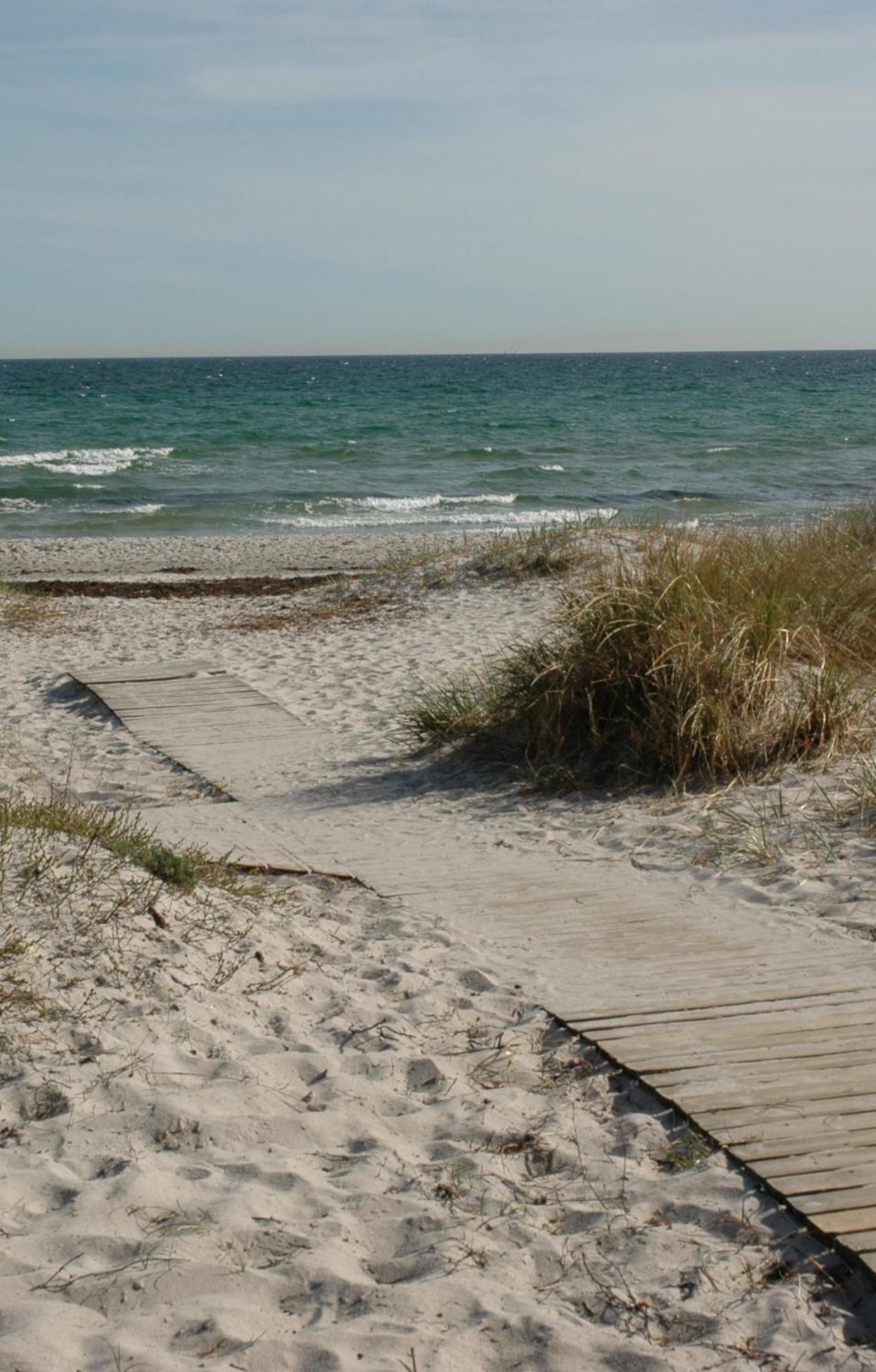Photo 40