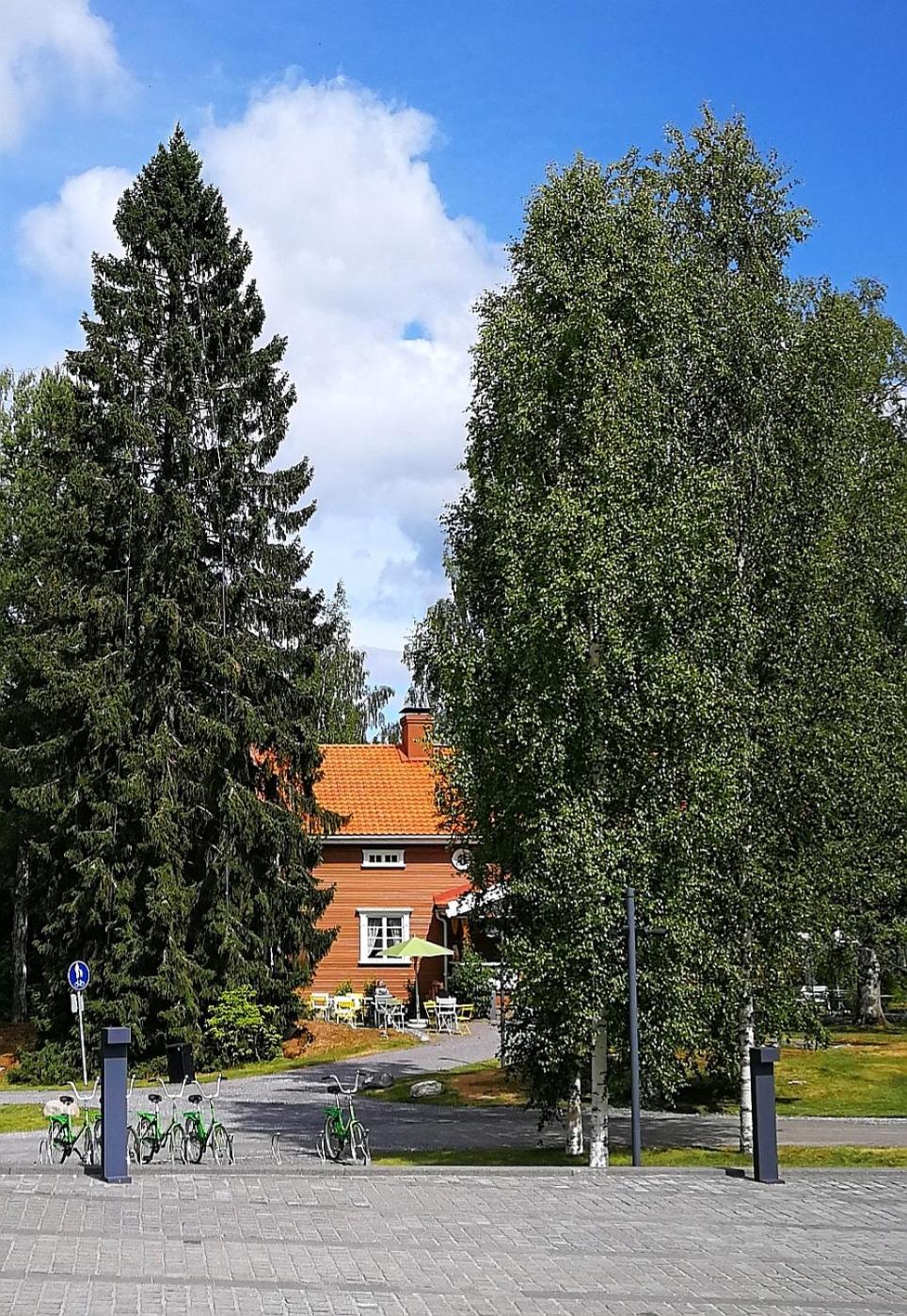 Photo 49