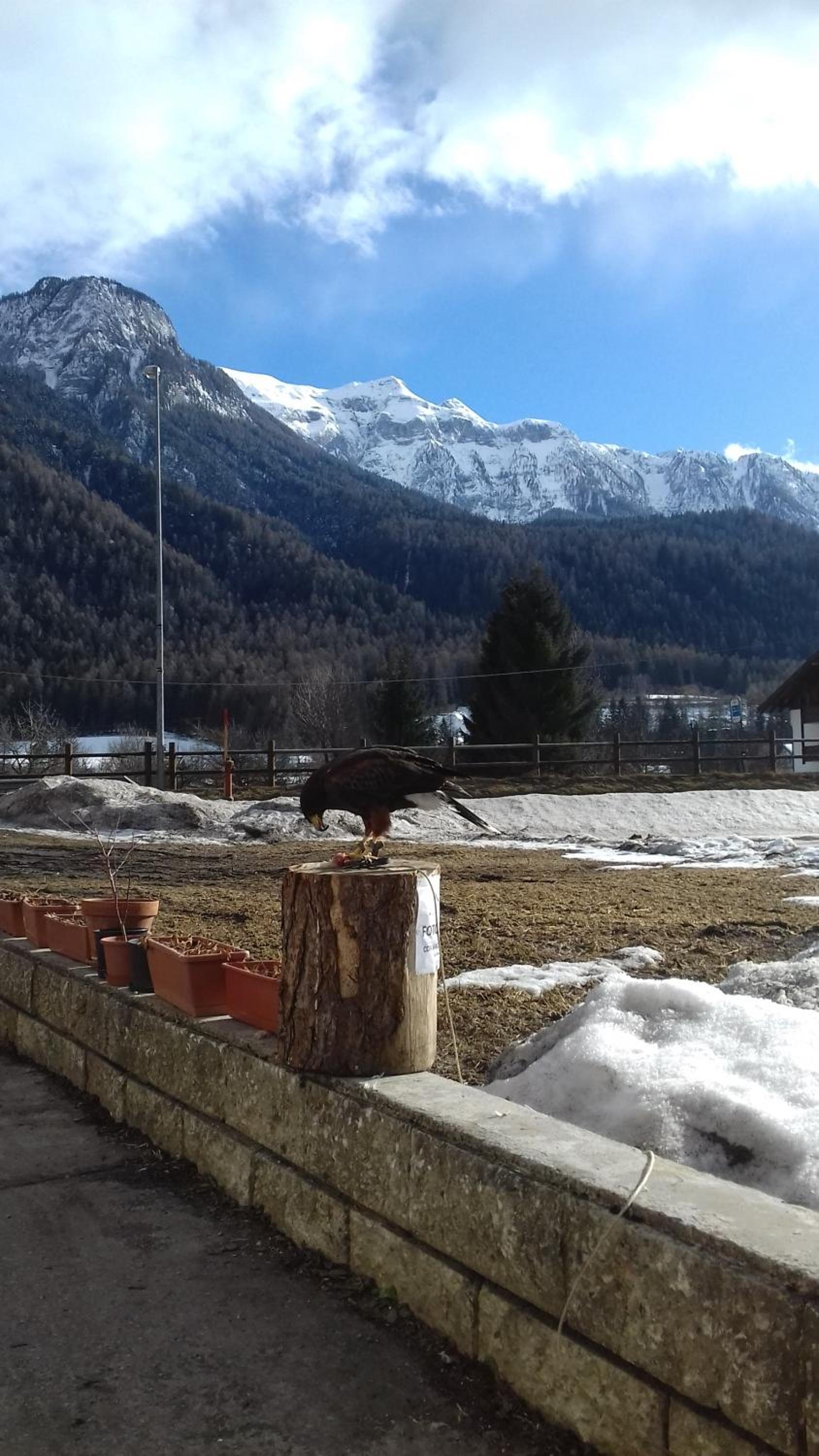B&B Nido Delle Aquile