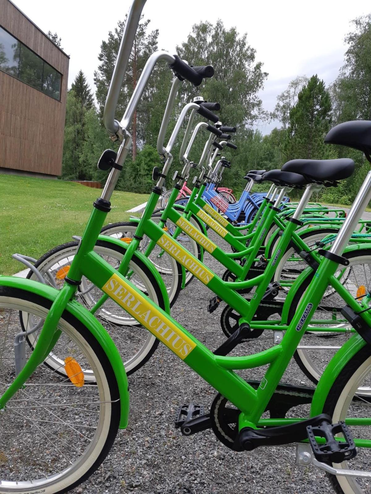 Photo 48