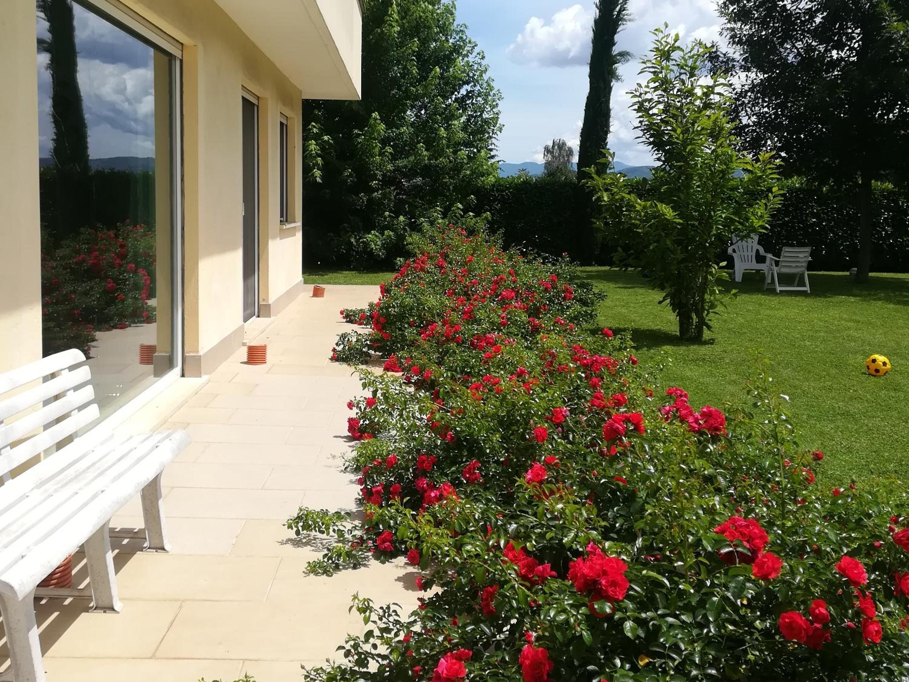 B&B Terra del Sole view 4