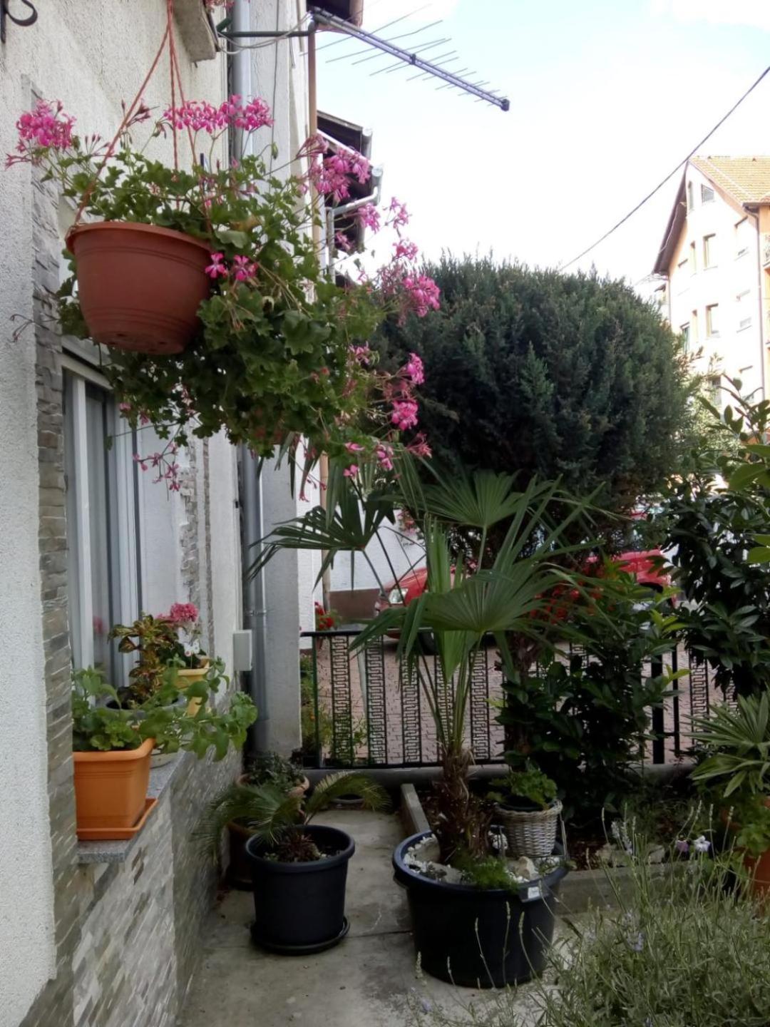 Apartman Teuta Zagreb