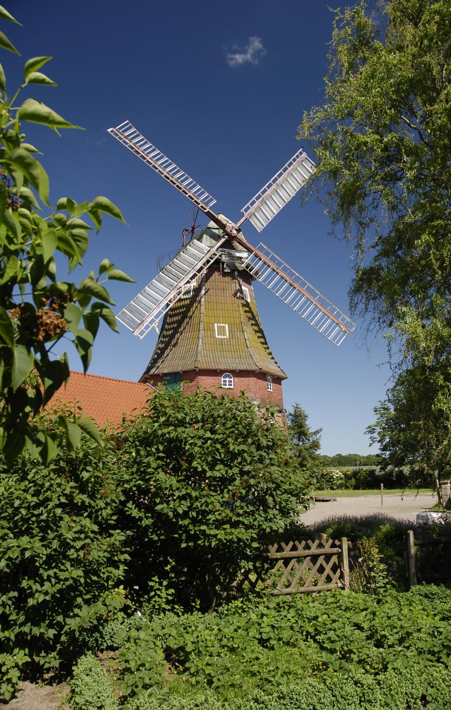Zur Windrose Ferienwohnung an der Windmühle Labbus view 5