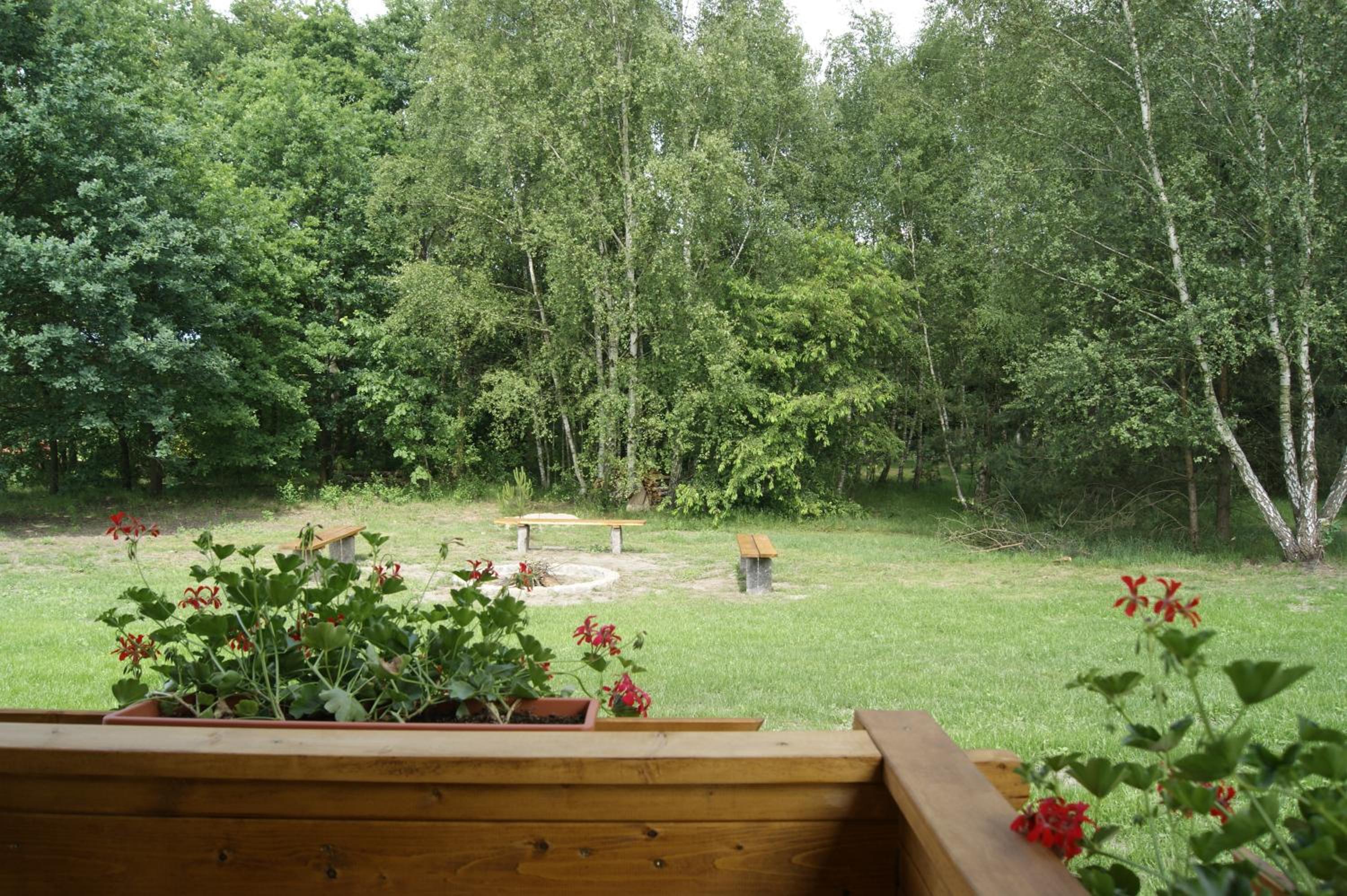 Photo 27