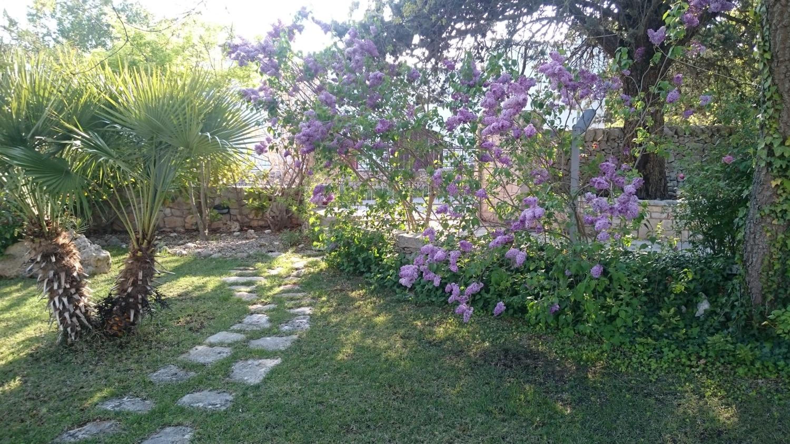 Photo 26