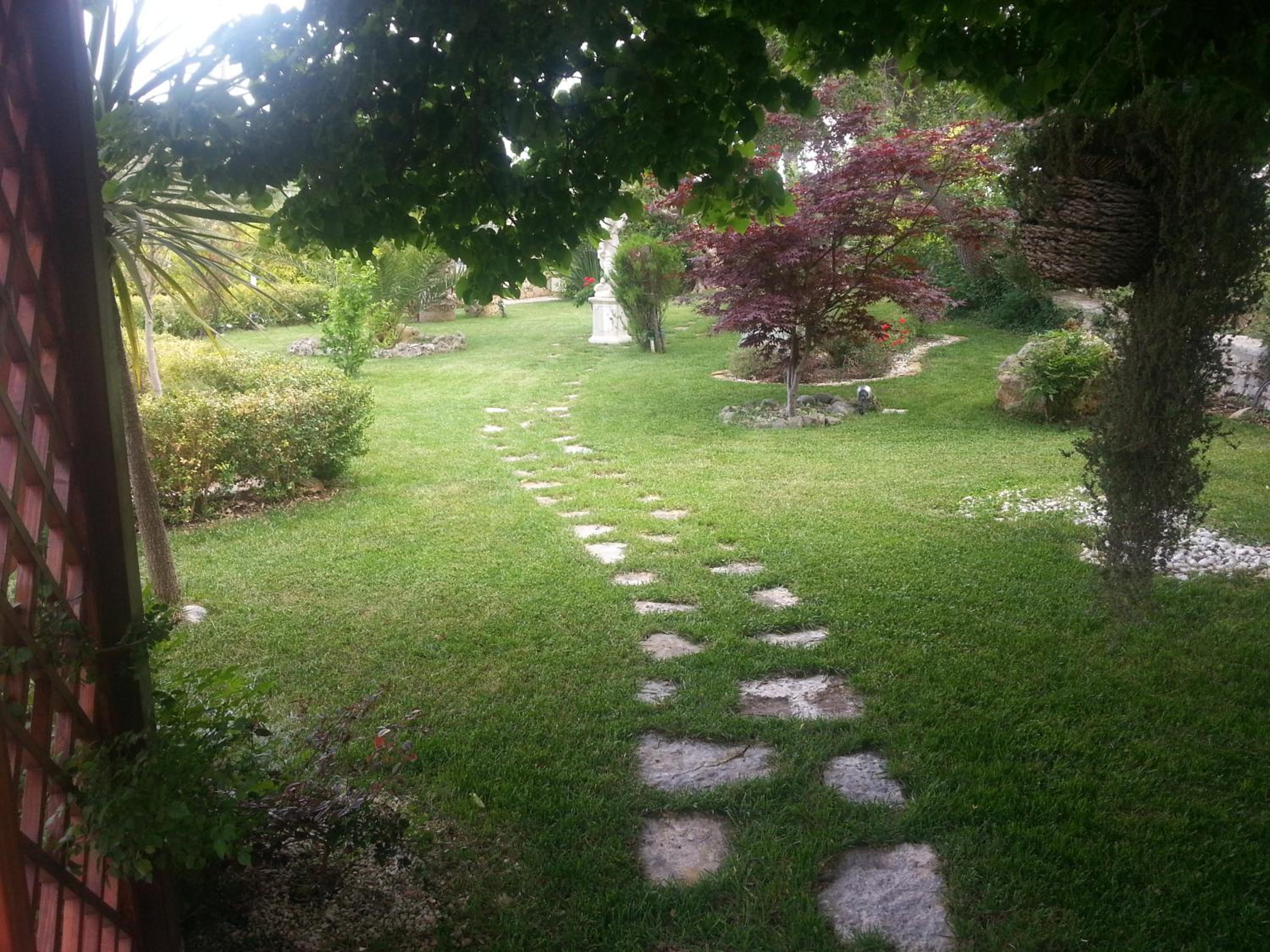 Photo 18