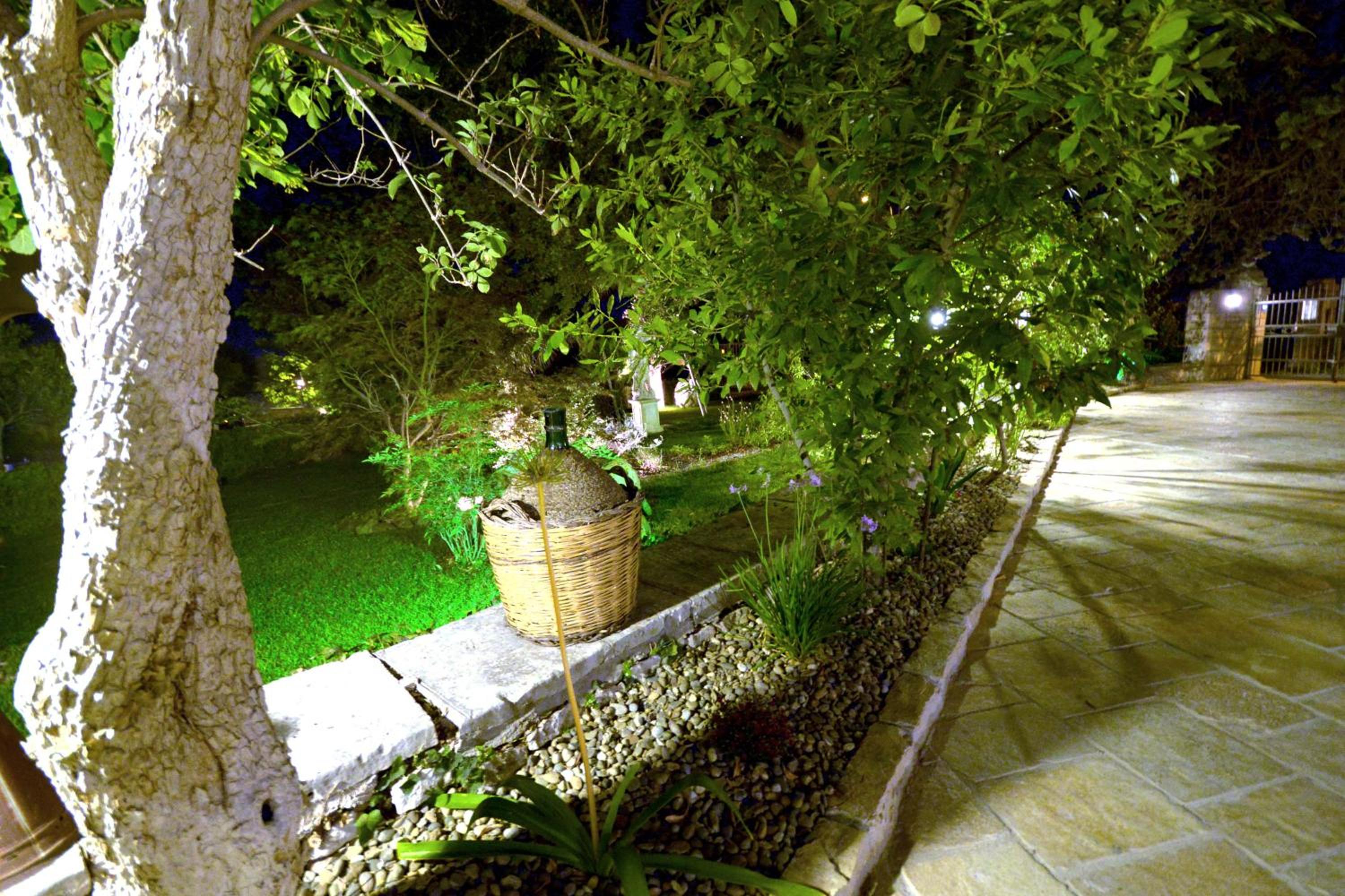 Photo 30