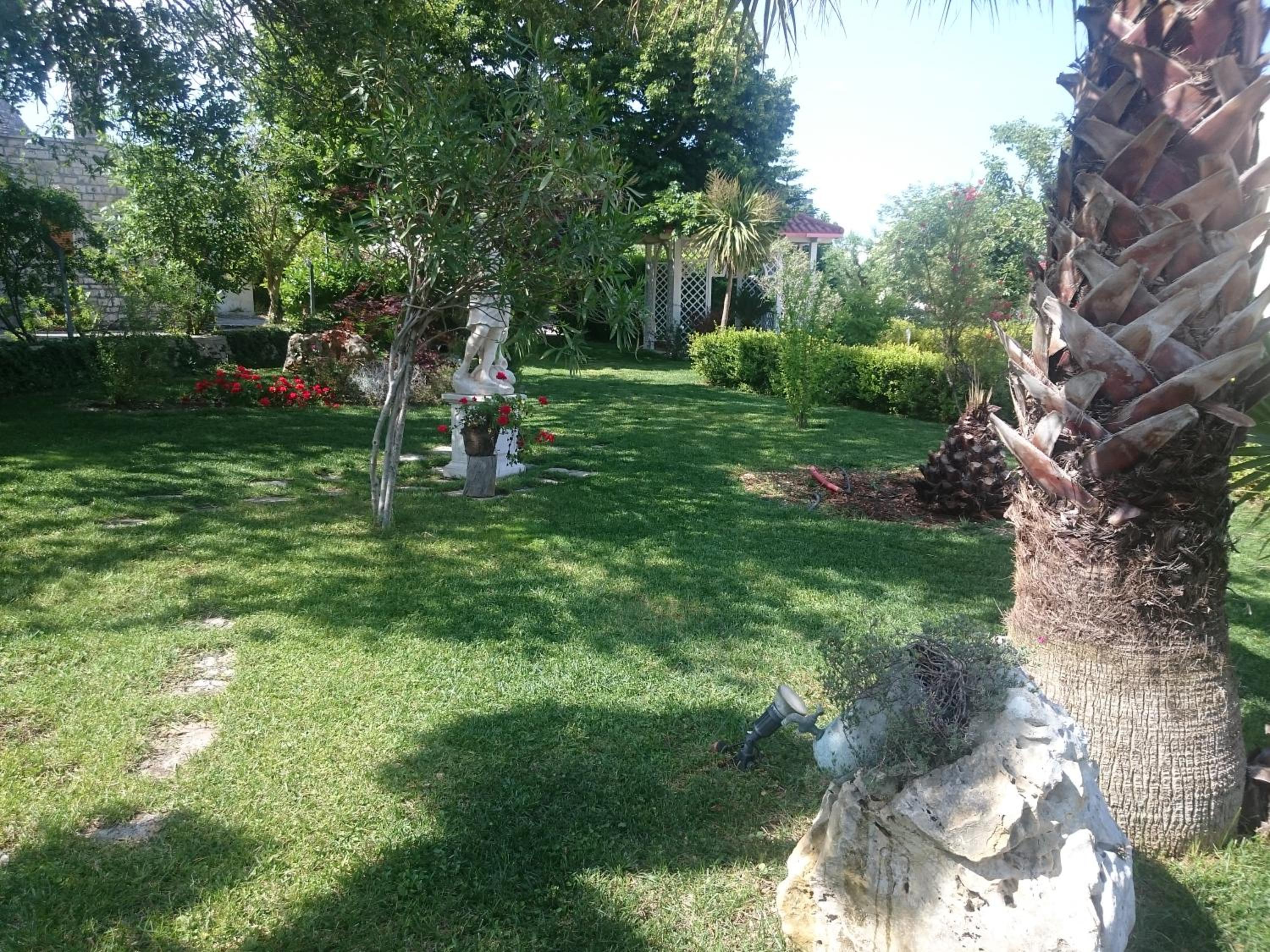 Photo 32