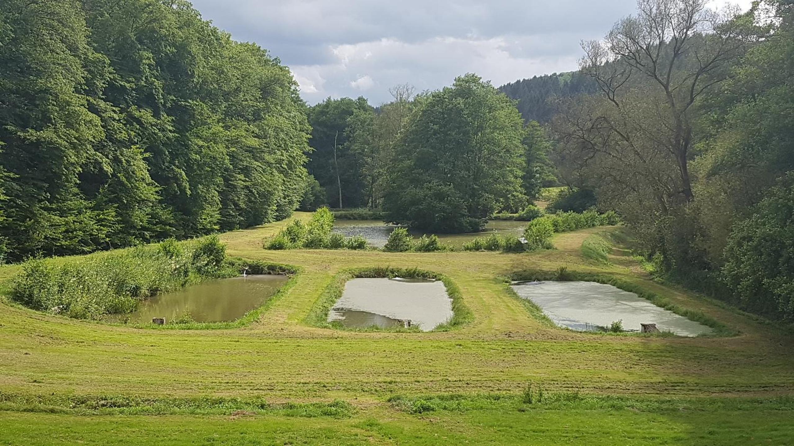 Pulgersmühle view 5