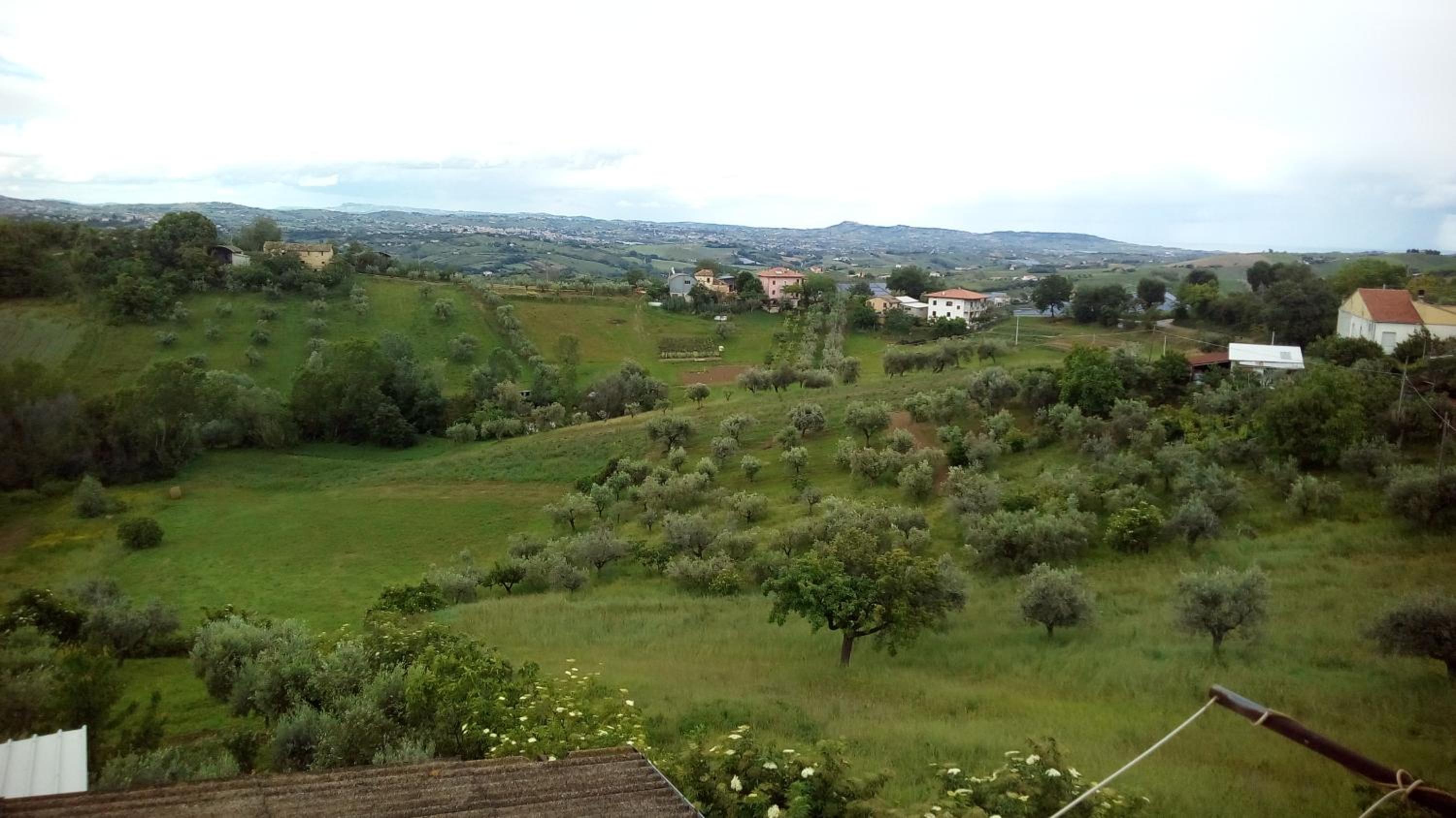 Photo 32