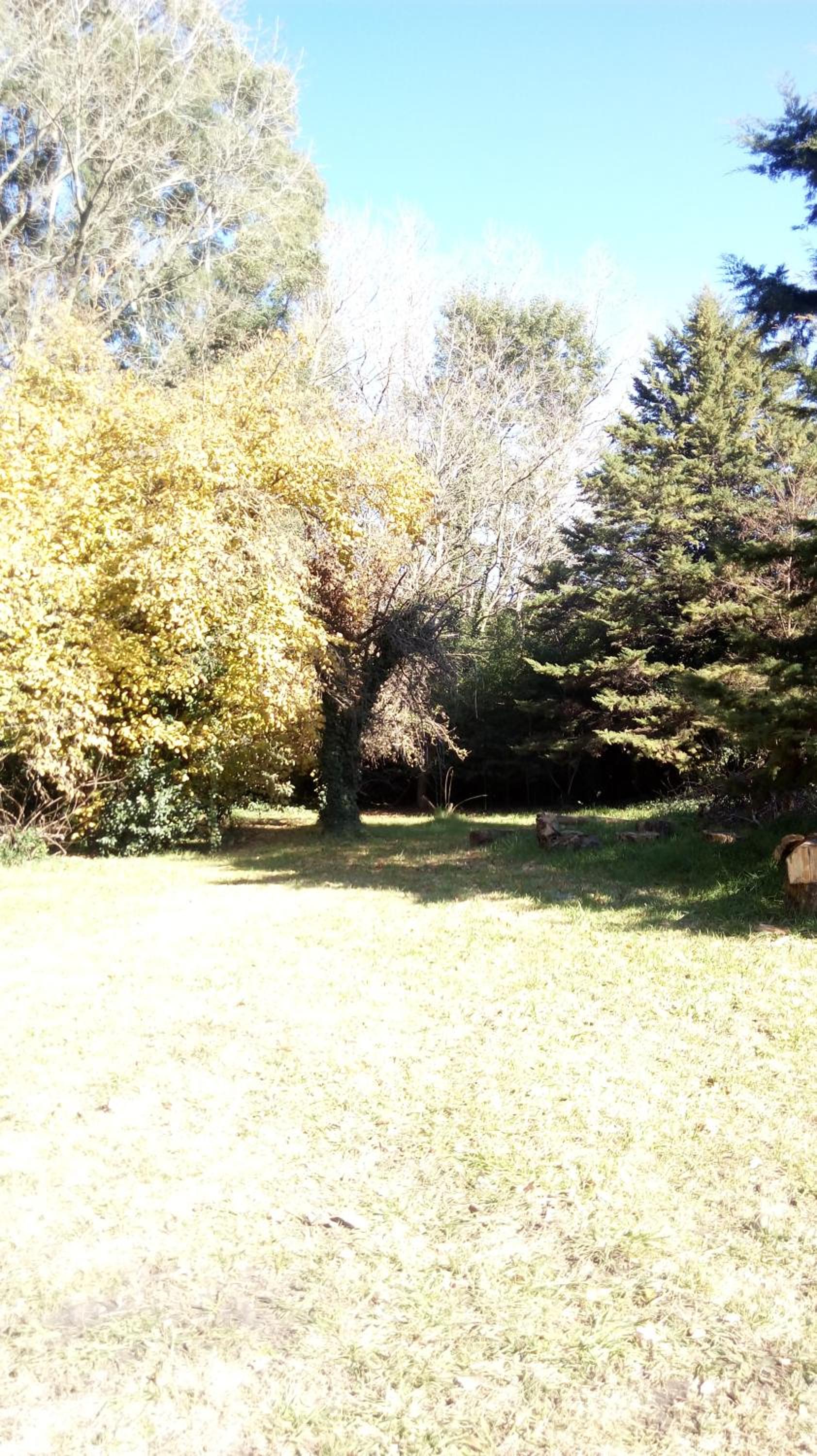 Rancho Apar T -