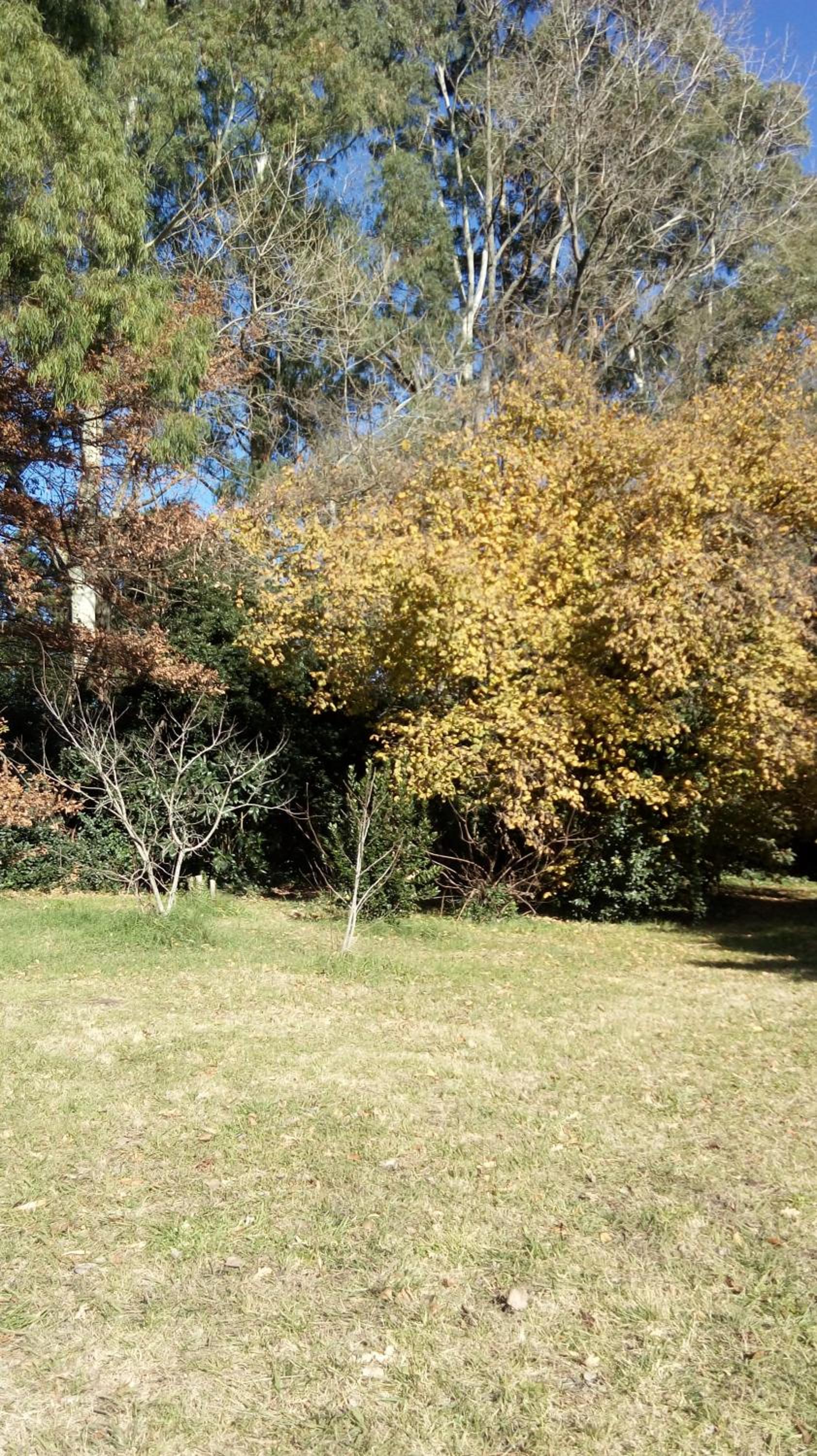 Rancho Apar T -