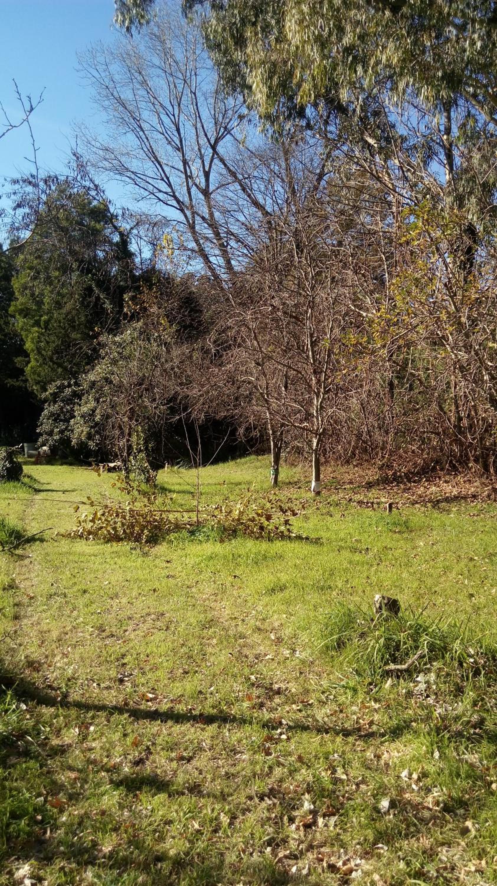Rancho Apar T -