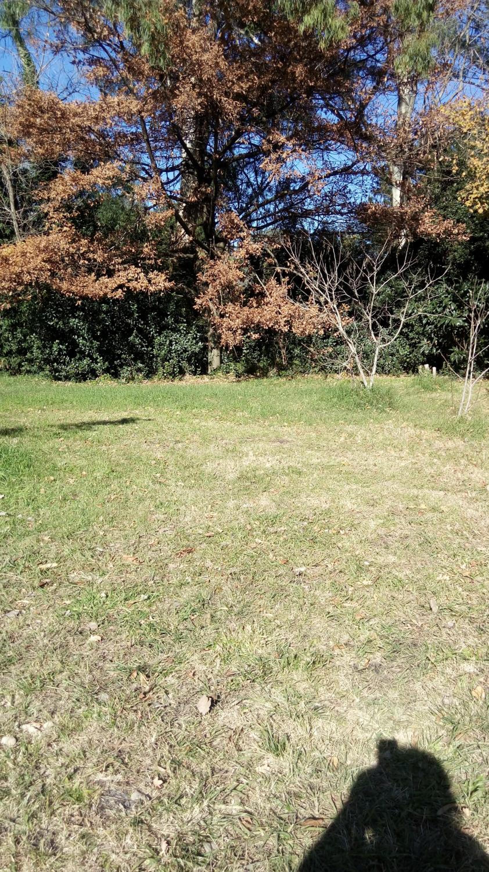 Rancho Apar T -