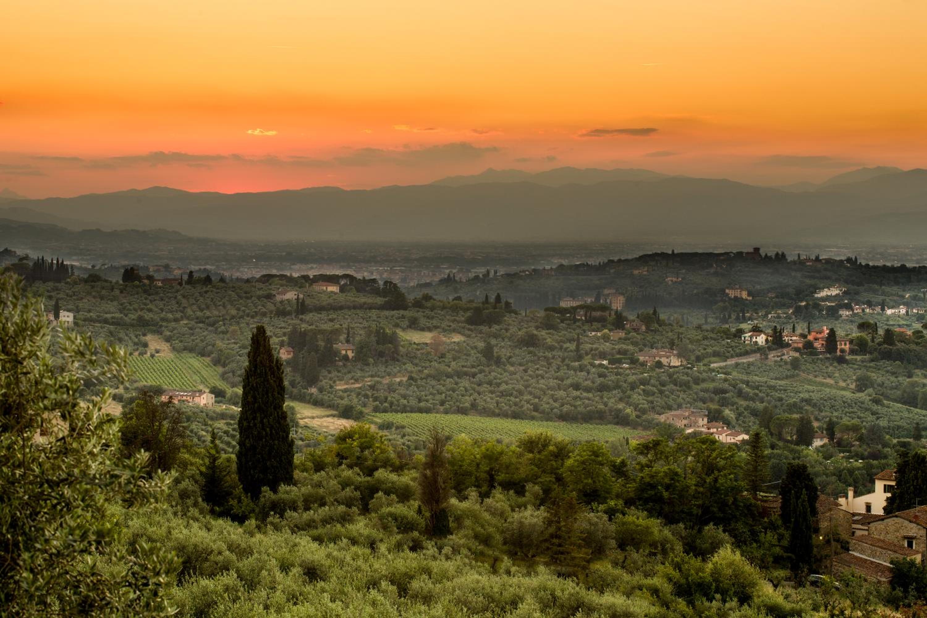 Tenuta Torre Rossa Farm & Apartments