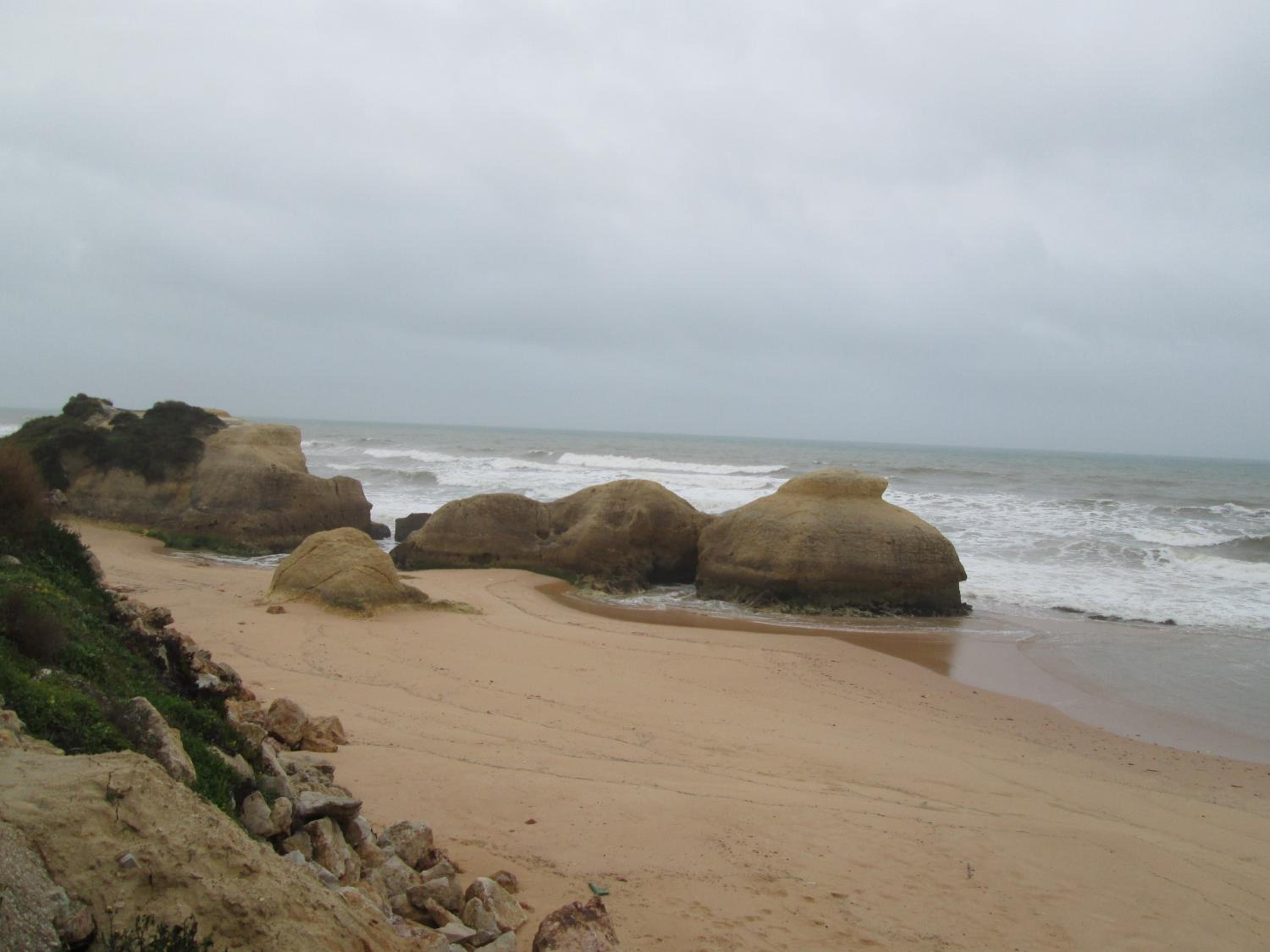 Photo 44