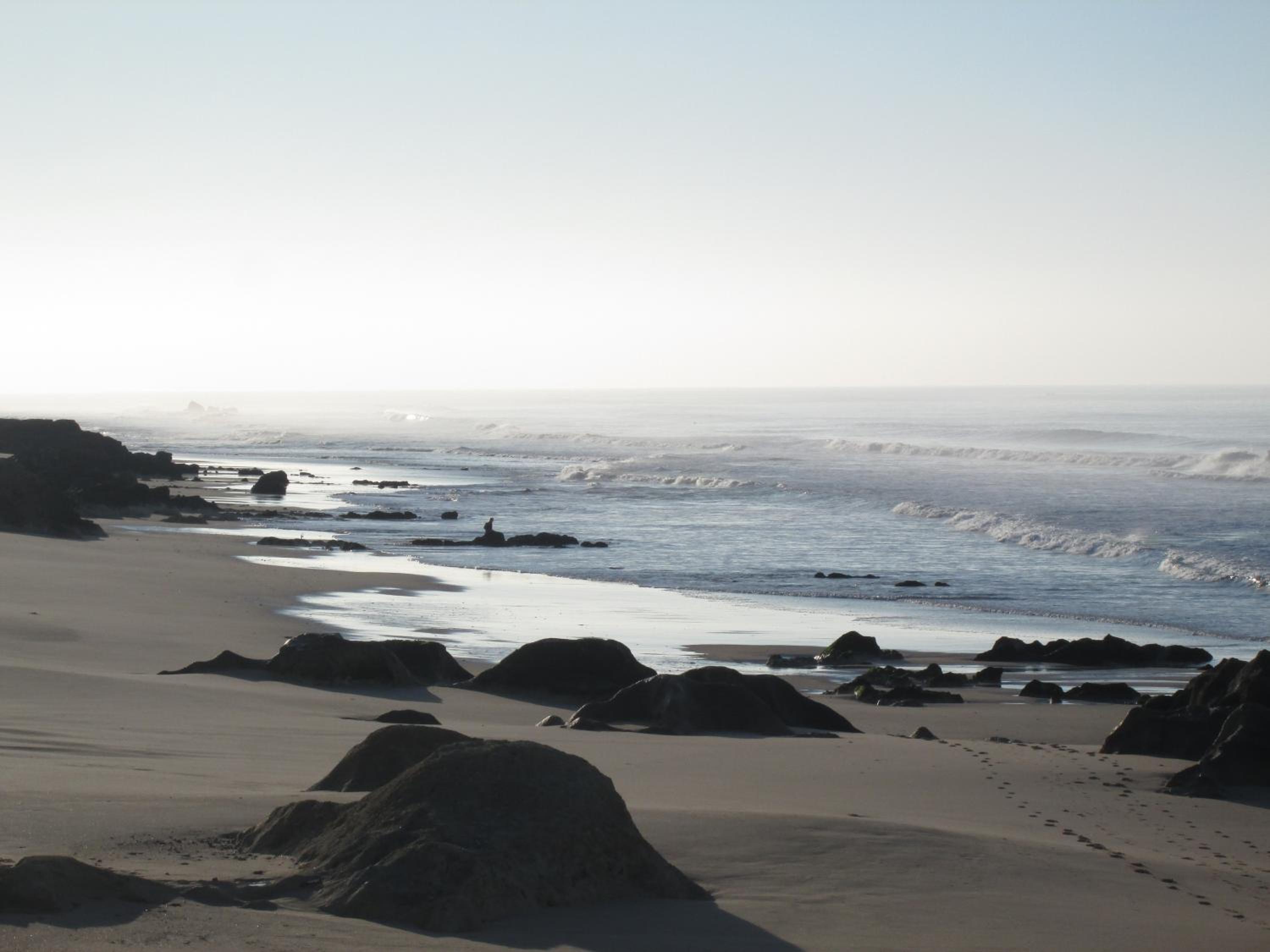Photo 45