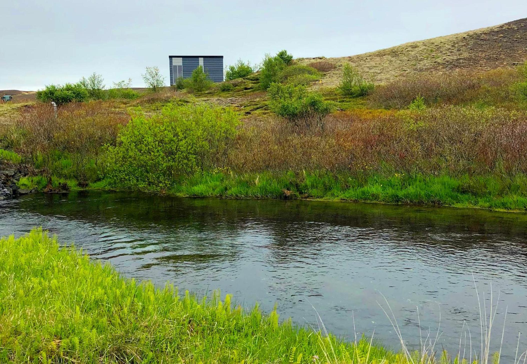 Afternoon Cottages — photo 31