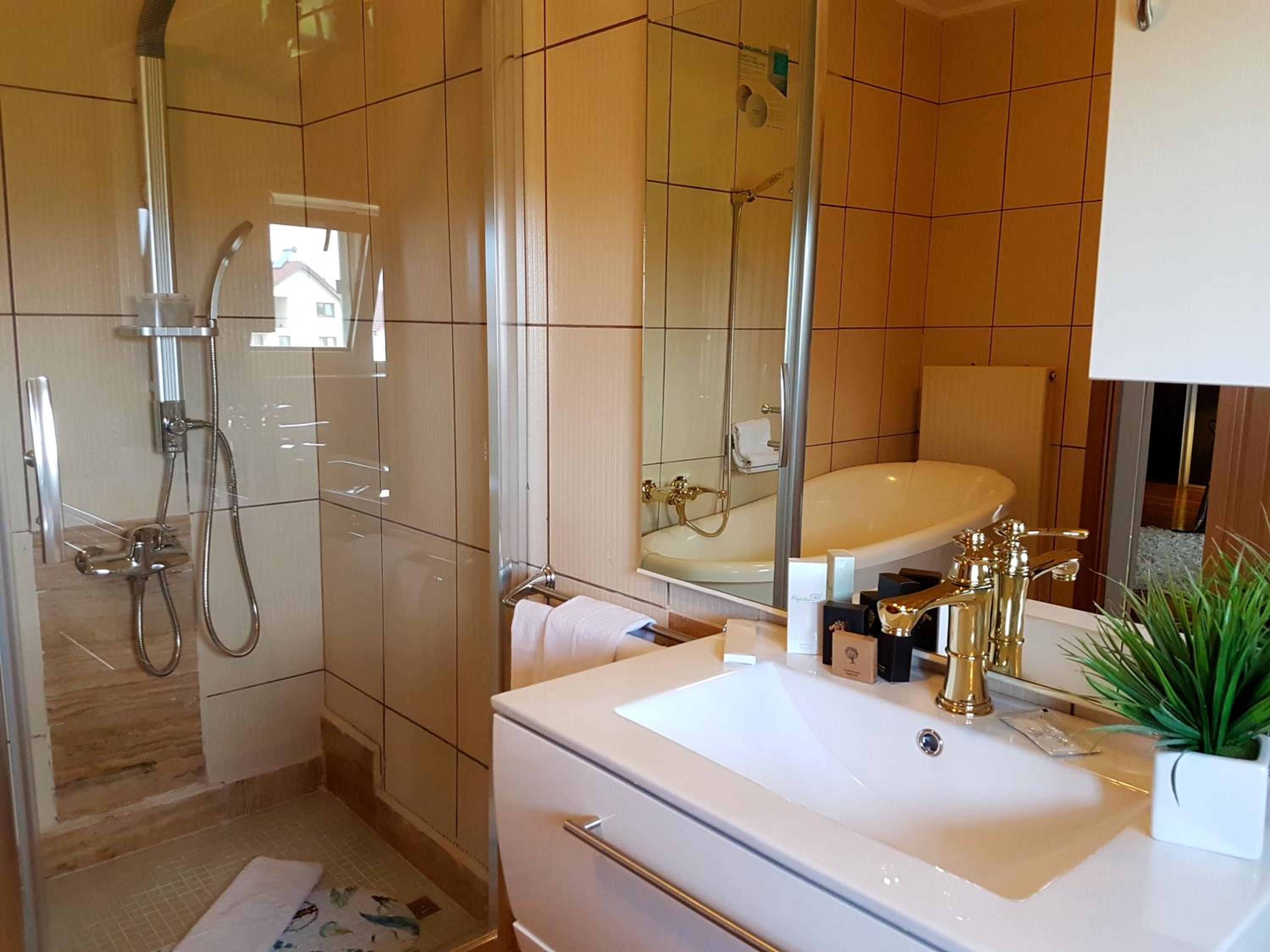 Hotel Elisabeta