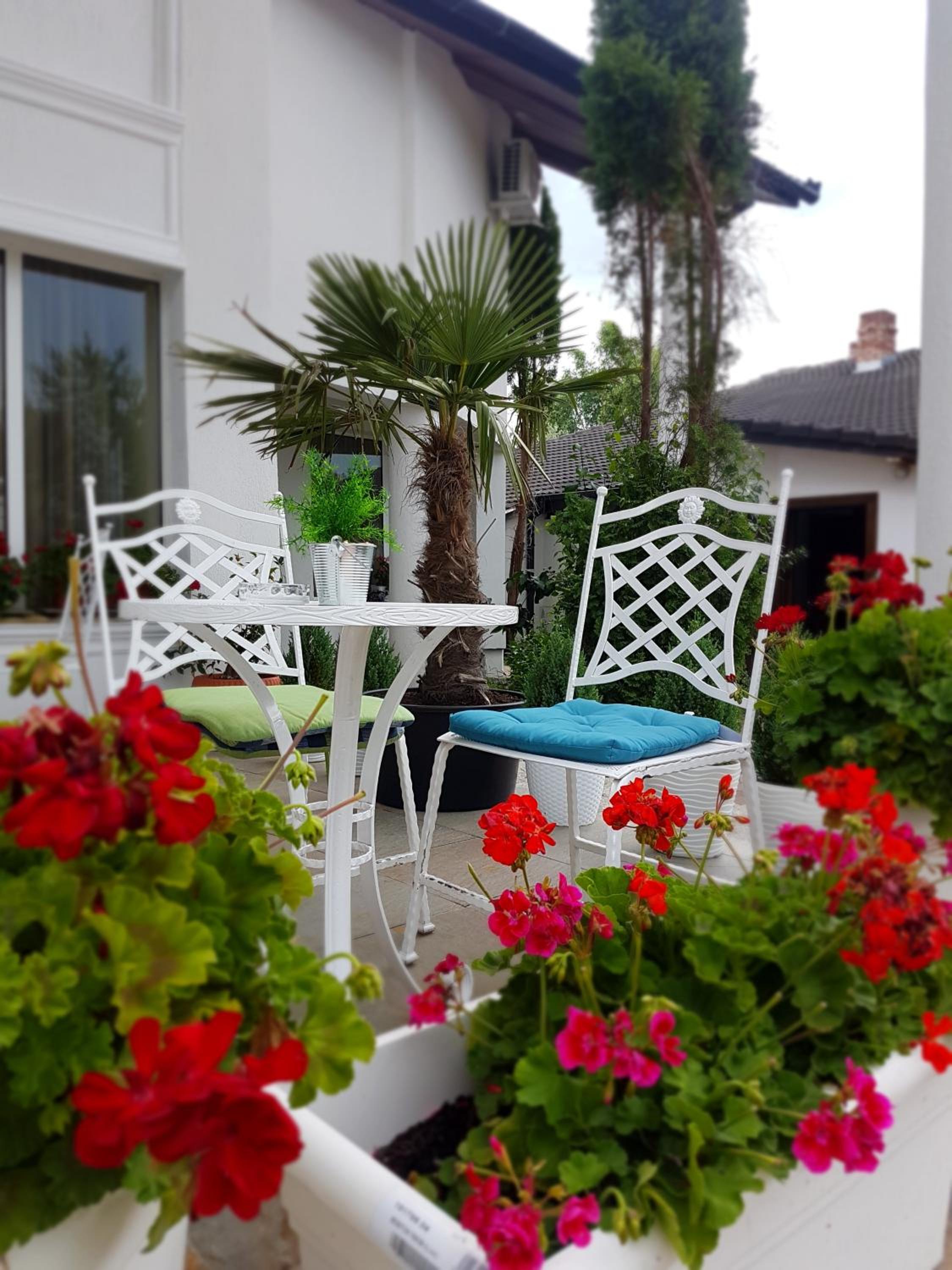 Hotel Elisabeta