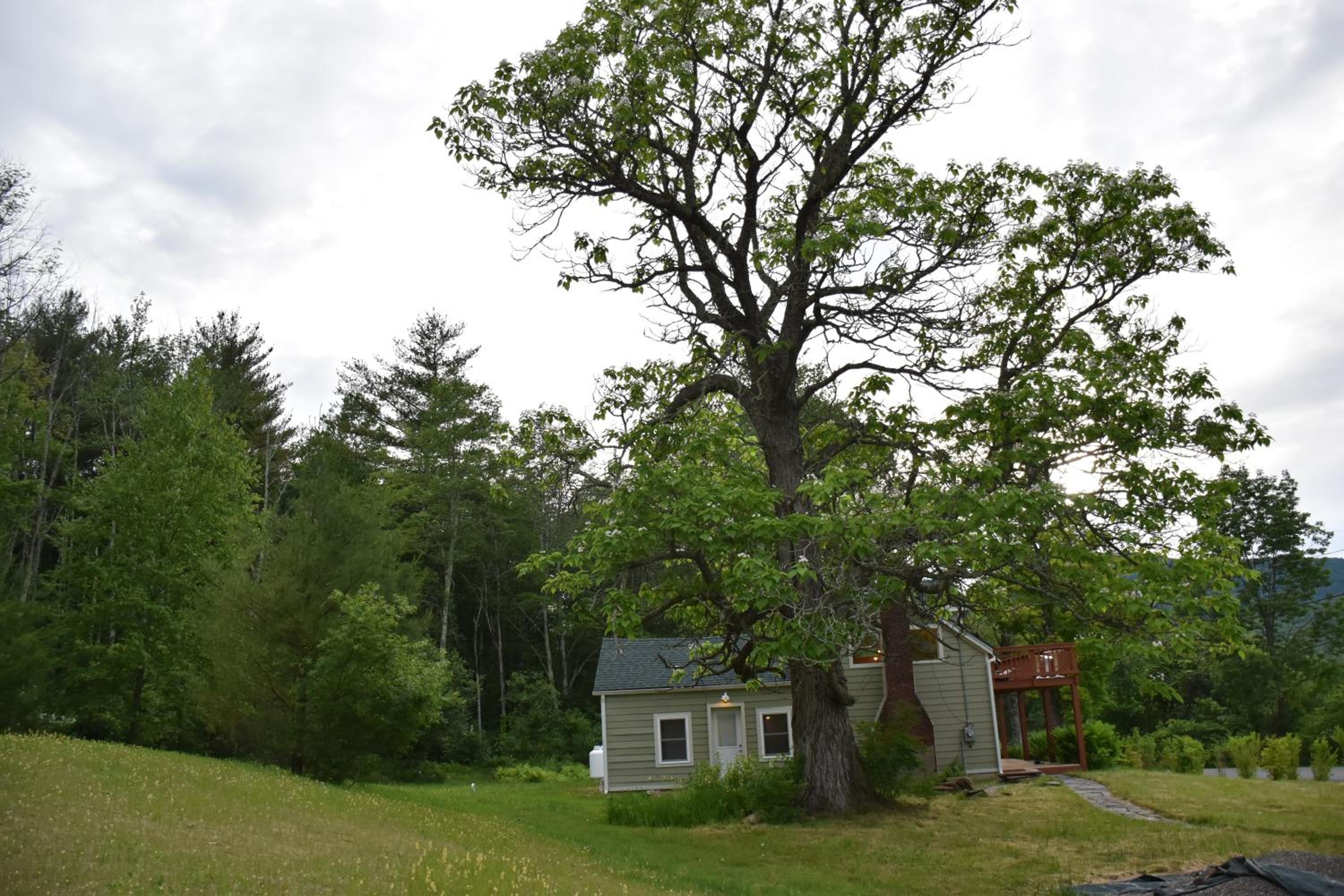 Romantic, Magical Cottage in Catskills nr Woodstock view 4