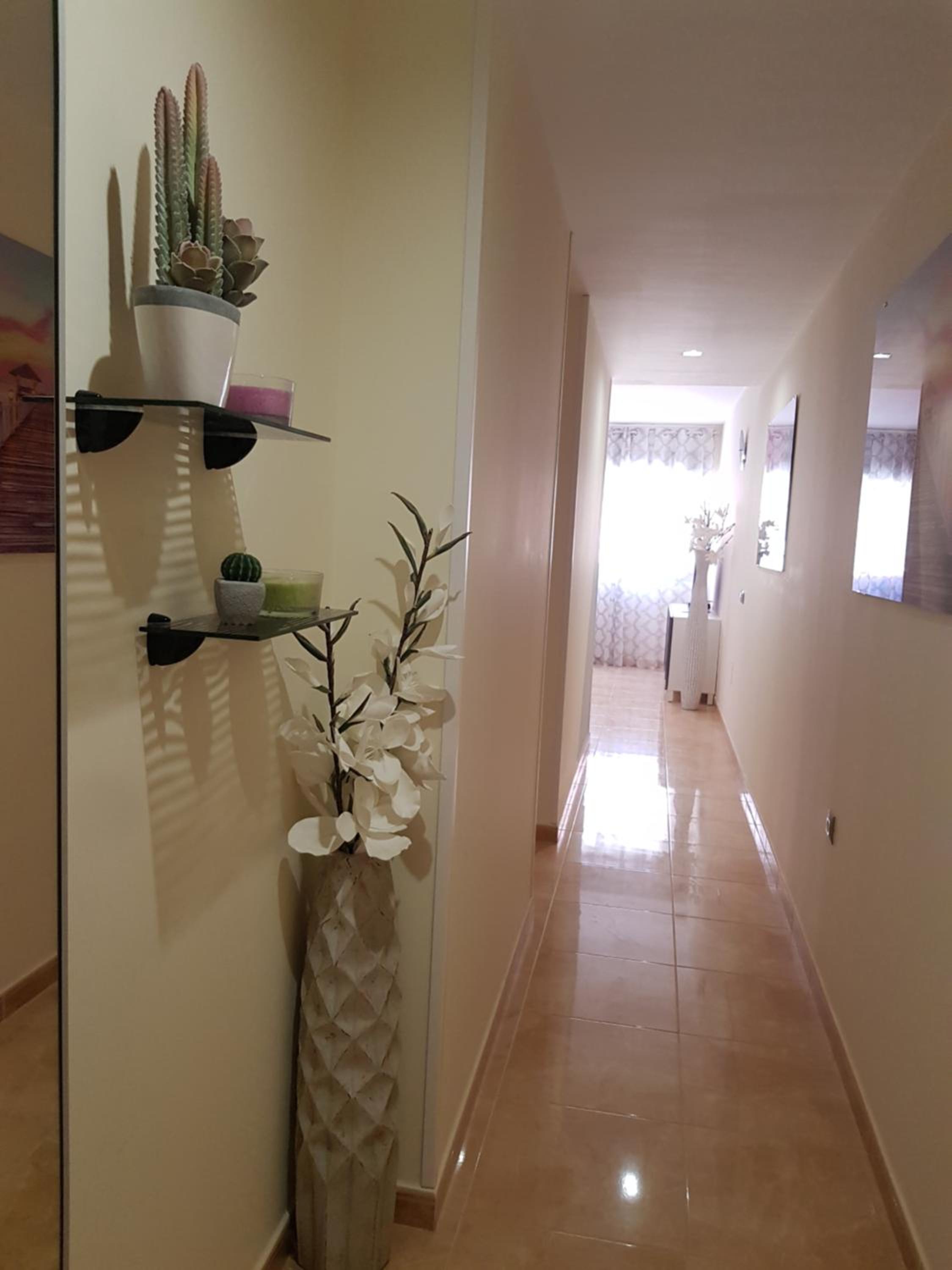Appartamento ELITE view 3