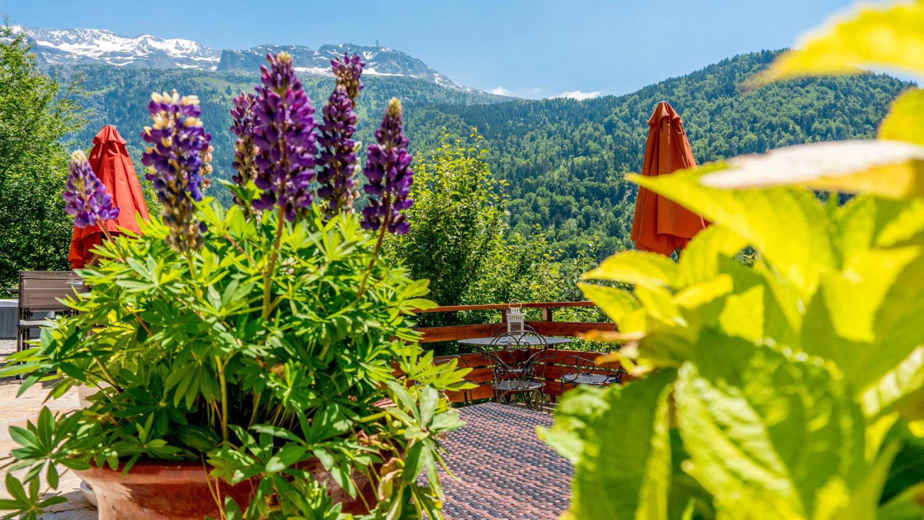 Chalet La Maitreya
