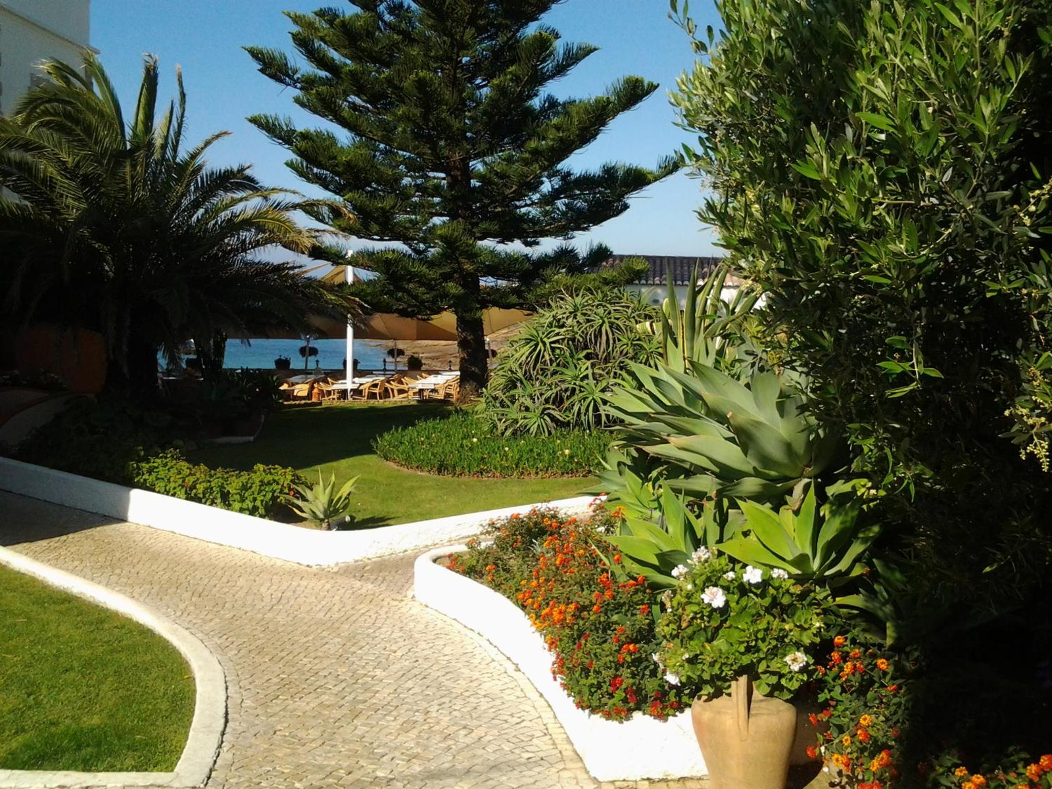 Photo 44
