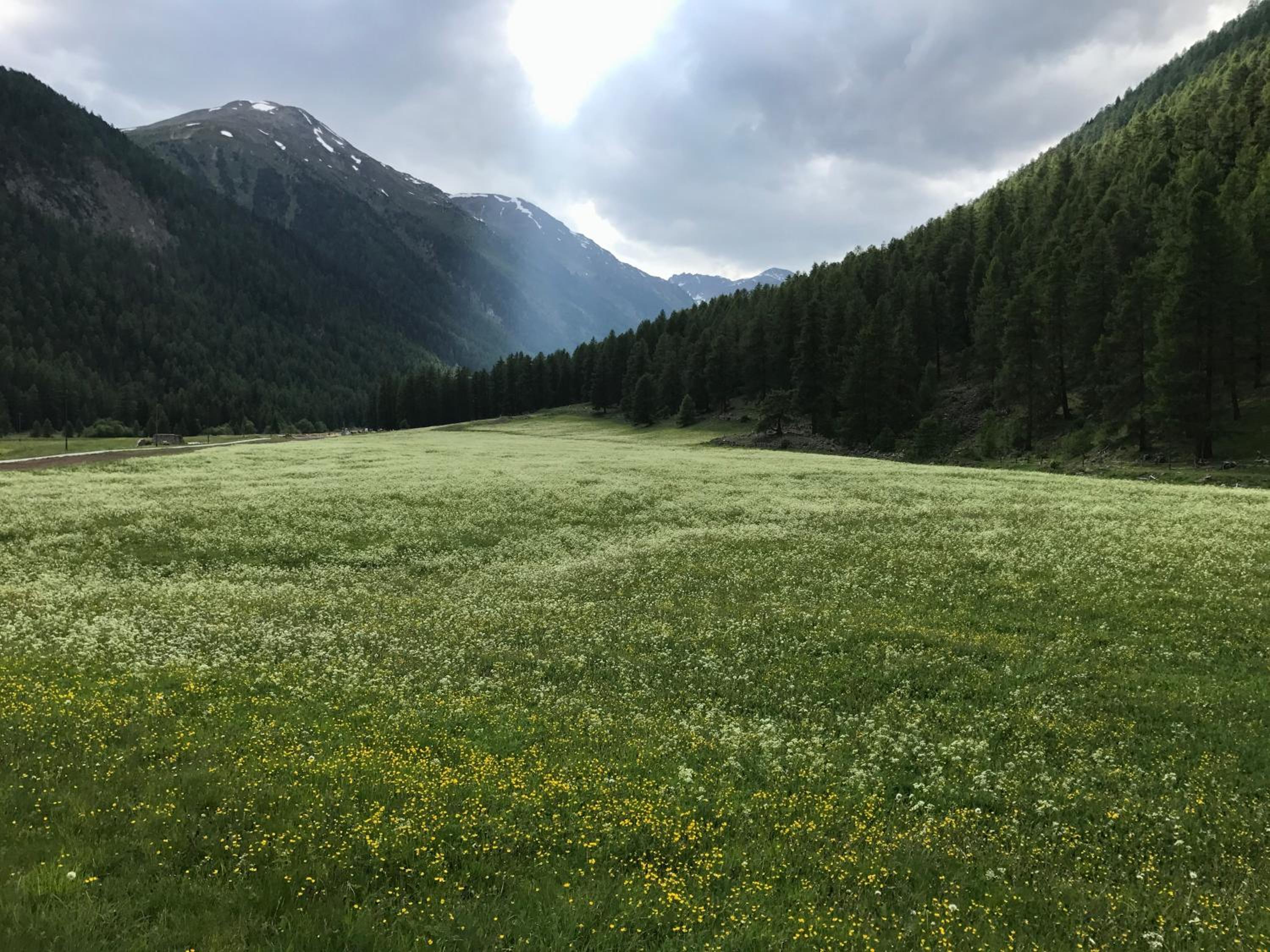 Chesa Piz d'Esan