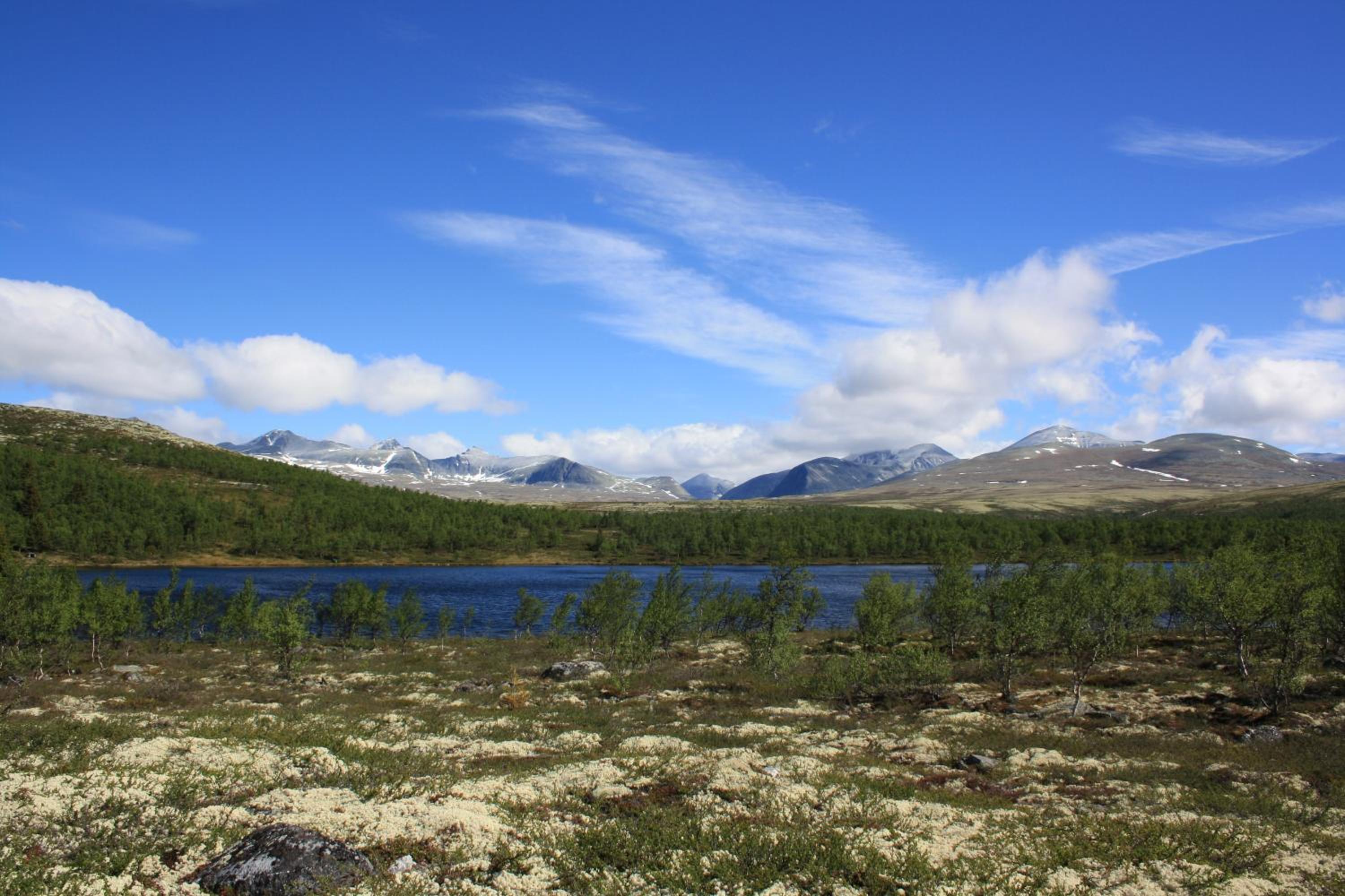 Rondane Fjellstue