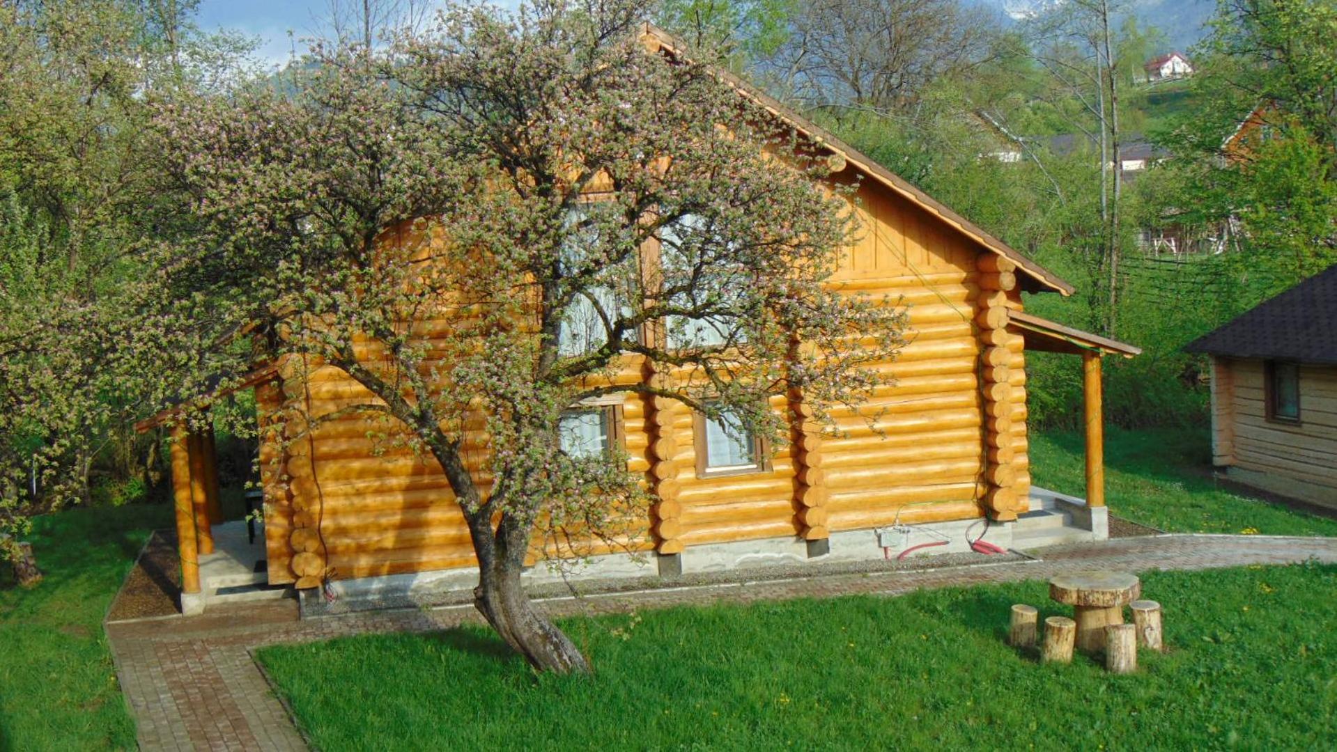 Photo 33