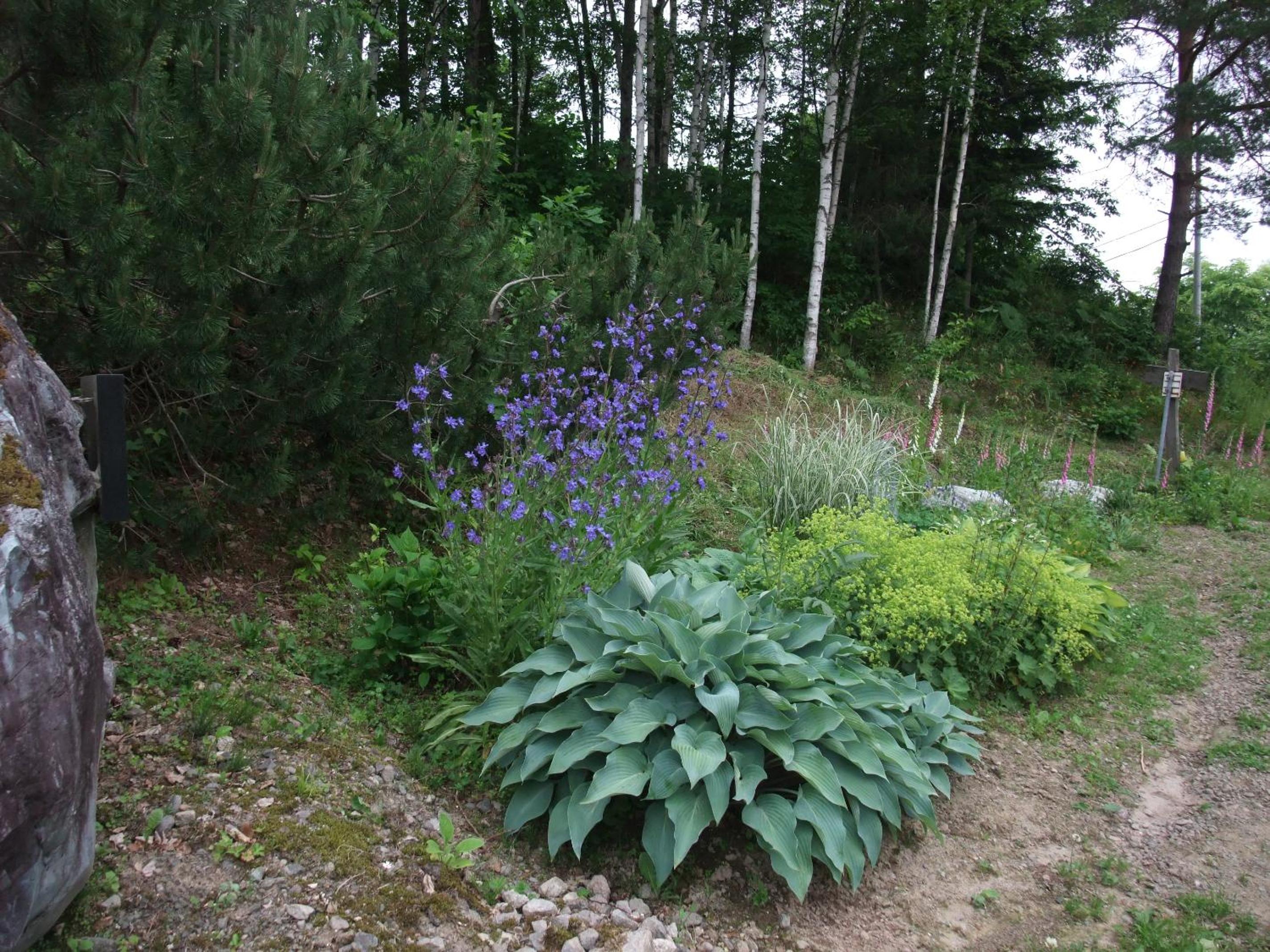 Photo 36